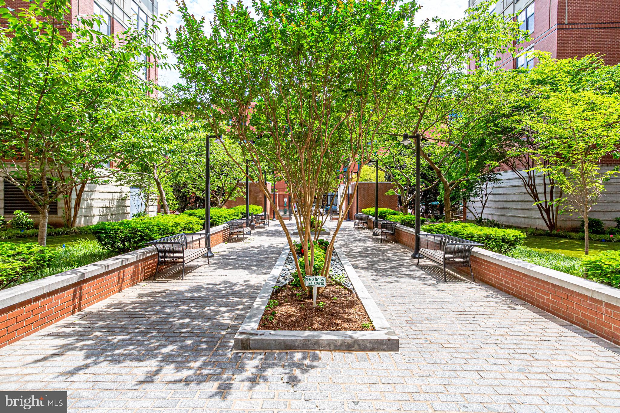 CLARENDON 1021 - Residential Lease