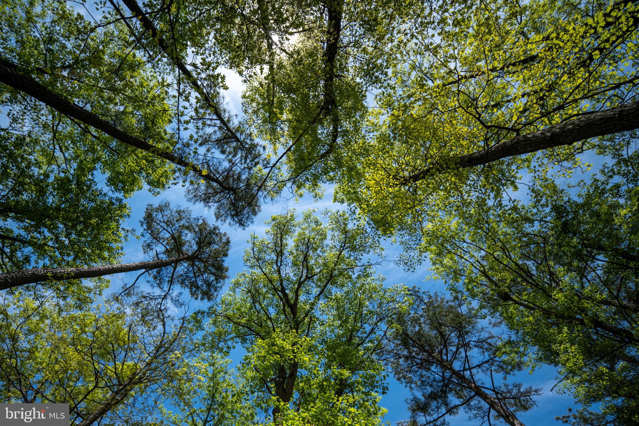 FAWN LAKE - Residential