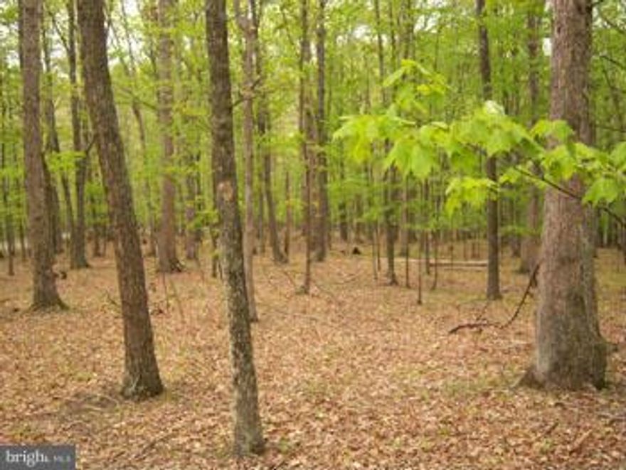 3.27 Acres with Cacapon River Access,  nicely wooded and near the bottom of the mountain for easy access, ready for your tent or cabin. Fishing, Hiking, Canoeing, buy now for years of enjoyment!