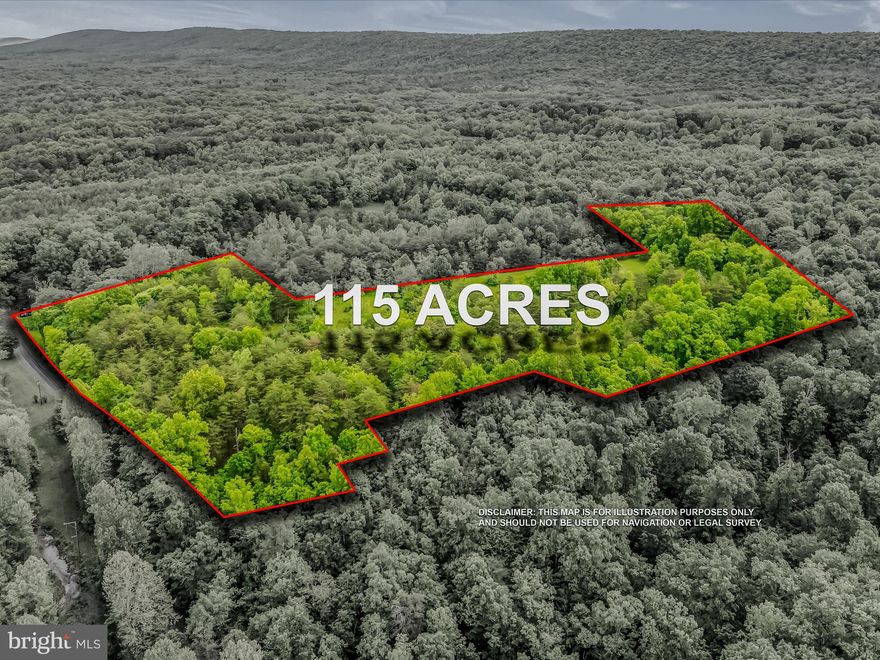 You won't find another like it! 115.41 acres of unrestricted and usable land right in Berkeley Springs! 2 lengthy dirt access roads that span the length of the property, plus multple other ATV trails. Some great clearings to build or garden/farm, or build various outbuildings. Currently used for hunting. This is a great opportunity to build your dream home, or subdivide and sell of a few parcels. With 2 lengthy access roads you have a lot of options to do whatever you can imagine! Abundant wildlife, scenic views, with a small pond and seasonal wet weather stream. If you drive by please note GPS will not get you there. Property fronts right on Posey Hollow, NOT off Hackamore, JUST SOUTH of Hackamore.