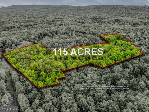 Vacant Land For Sale - 2429 Posey Hollow Road<br/> BERKELEY SPRINGS, WV 25411