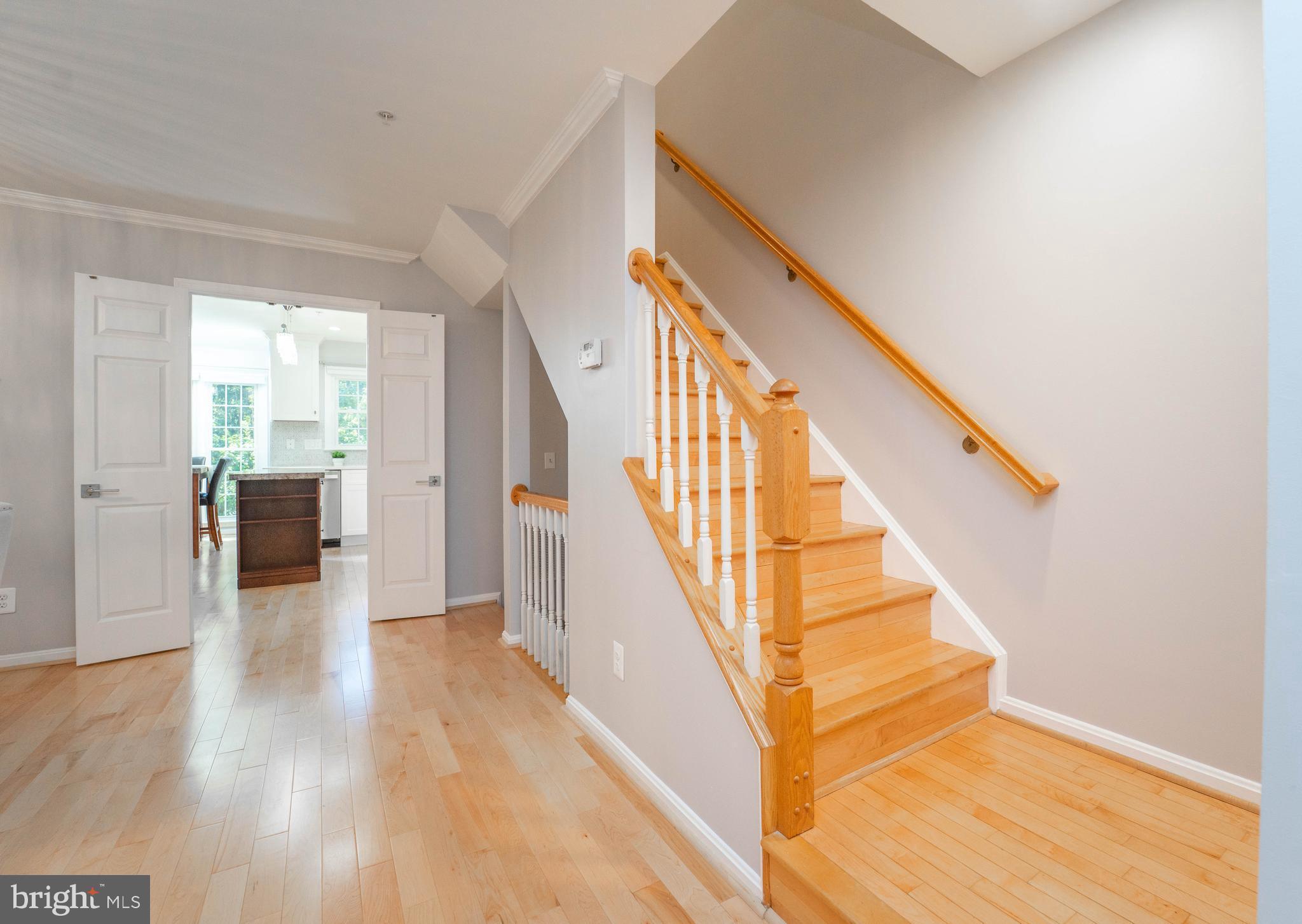 HOLLY POINTE - Residential