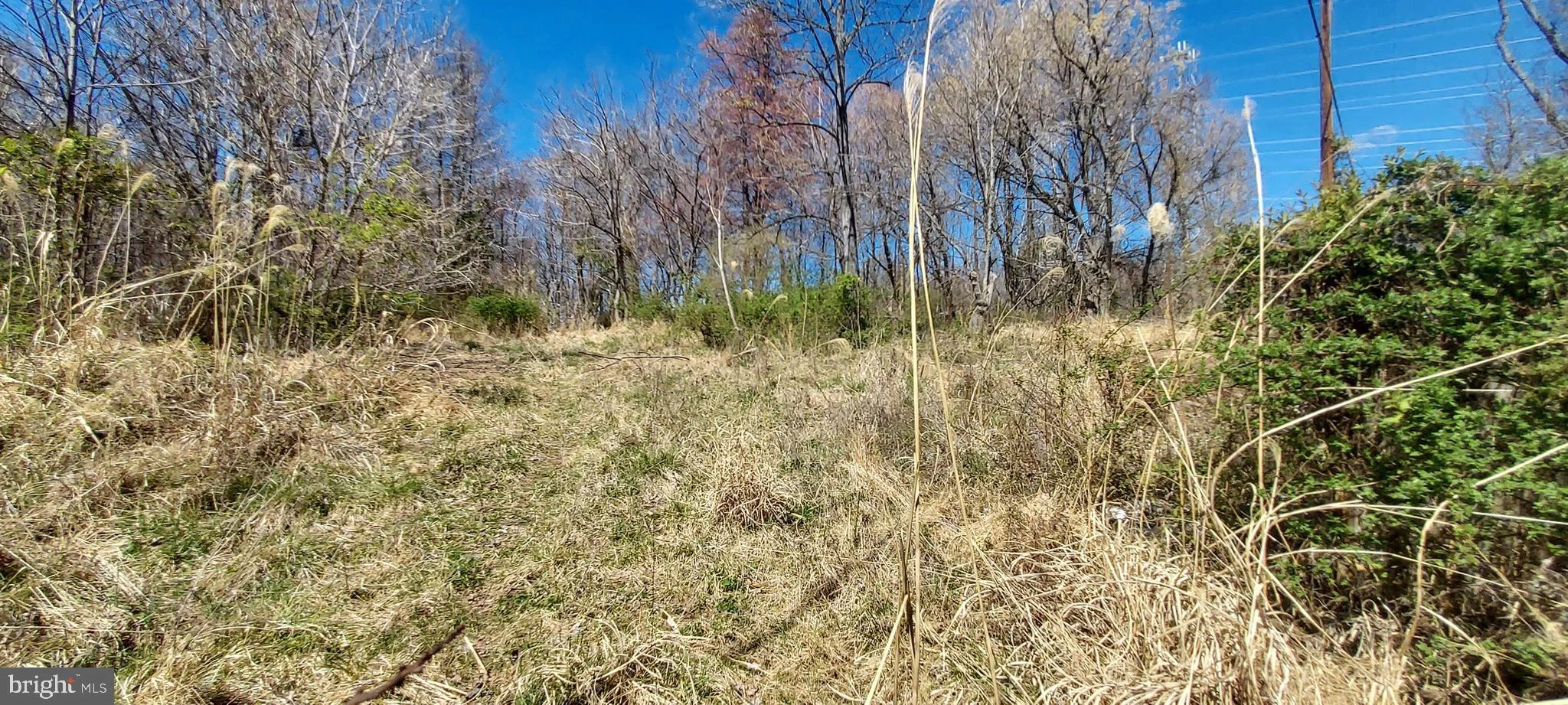 19600 Peach Tree Road, Dickerson, MD, 20842