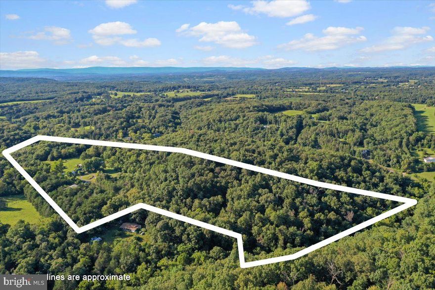 This property features two parcels totaling 38.91 acres, surrounded by rolling fields and mature trees, creating a peaceful rural retreat. The land is ideal for hunting or creating a homestead. Wooded areas and open fields attracting a variety of wildlife, making it a perfect spot for outdoor enthusiasts. In addition, the perfect setup to live on the land. 

The home boasts a spacious deck that overlooks the mountain views, perfect for savoring morning coffee or watching the sunset. Inside, the residence includes 2 comfortable bedrooms and 2 full bathrooms, providing ample space. An outdoor woodstove adds to the cozy atmosphere, making it ideal for year-round living.

The property also includes a 40x60 barn built in 2008, offering plenty of storage and workspace for farming or hobbies. Additionally, several animal sheds equipped with water and electricity provide excellent facilities for livestock or other animals. With its tranquil setting and prime hunting opportunities, this homestead is a perfect haven for those seeking a blend of comfort and adventure. Shown by appointment only, please do not drive in the driveway.