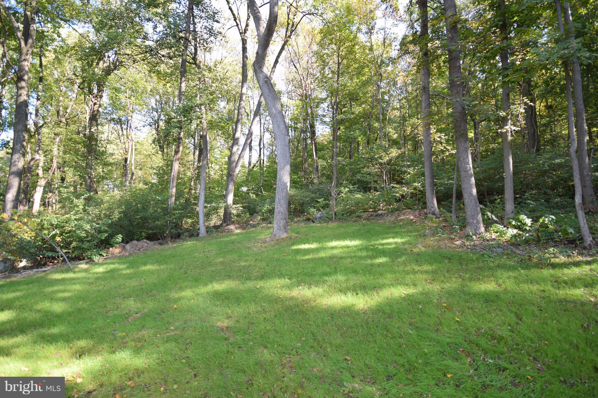 SHEN FARMS MT LAKE - Residential