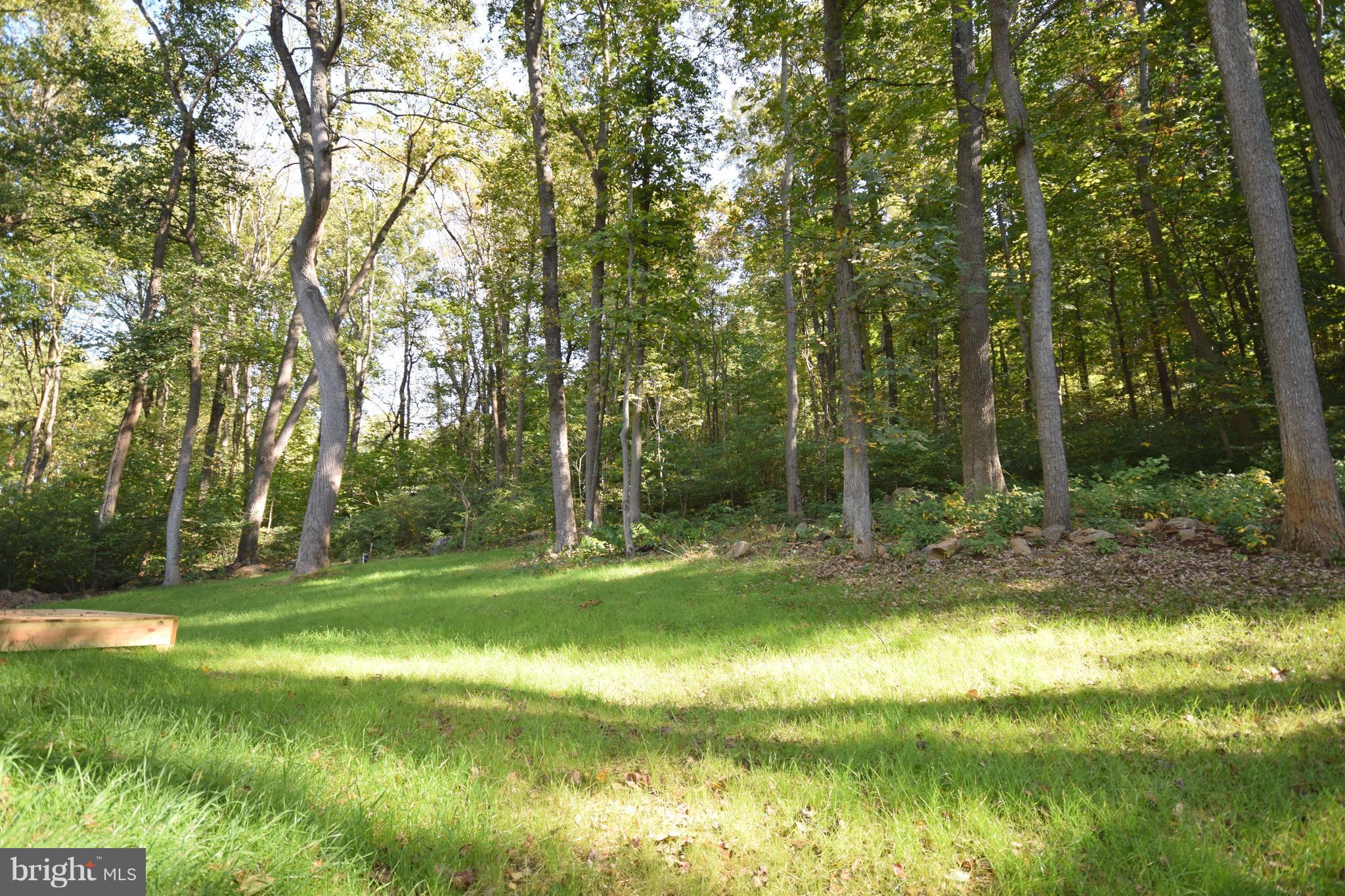 SHEN FARMS MT LAKE - Residential