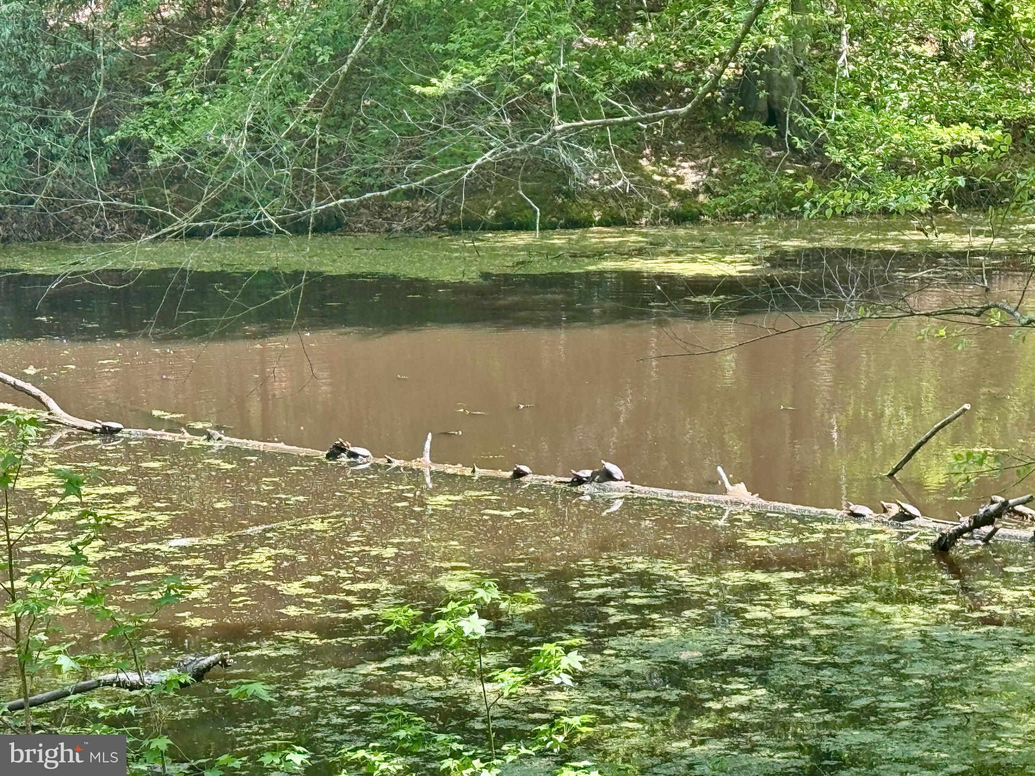 POTOMAC HEIGHTS - Residential