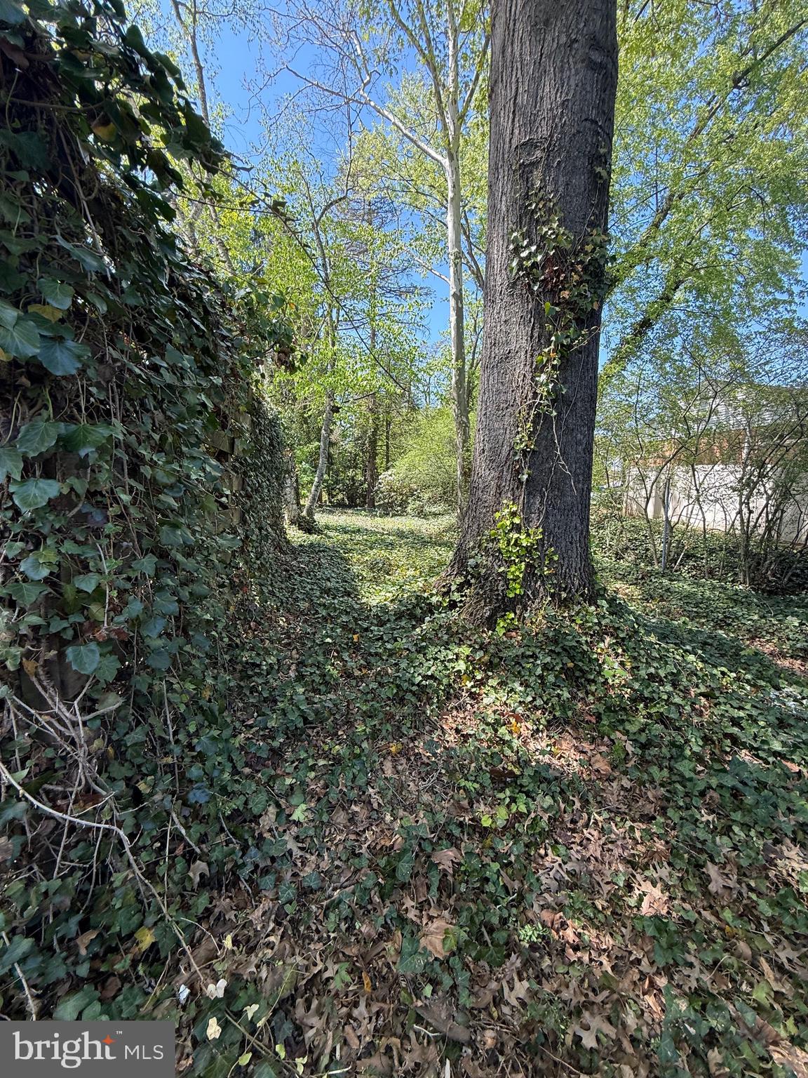 COLONIAL HILLS - Residential