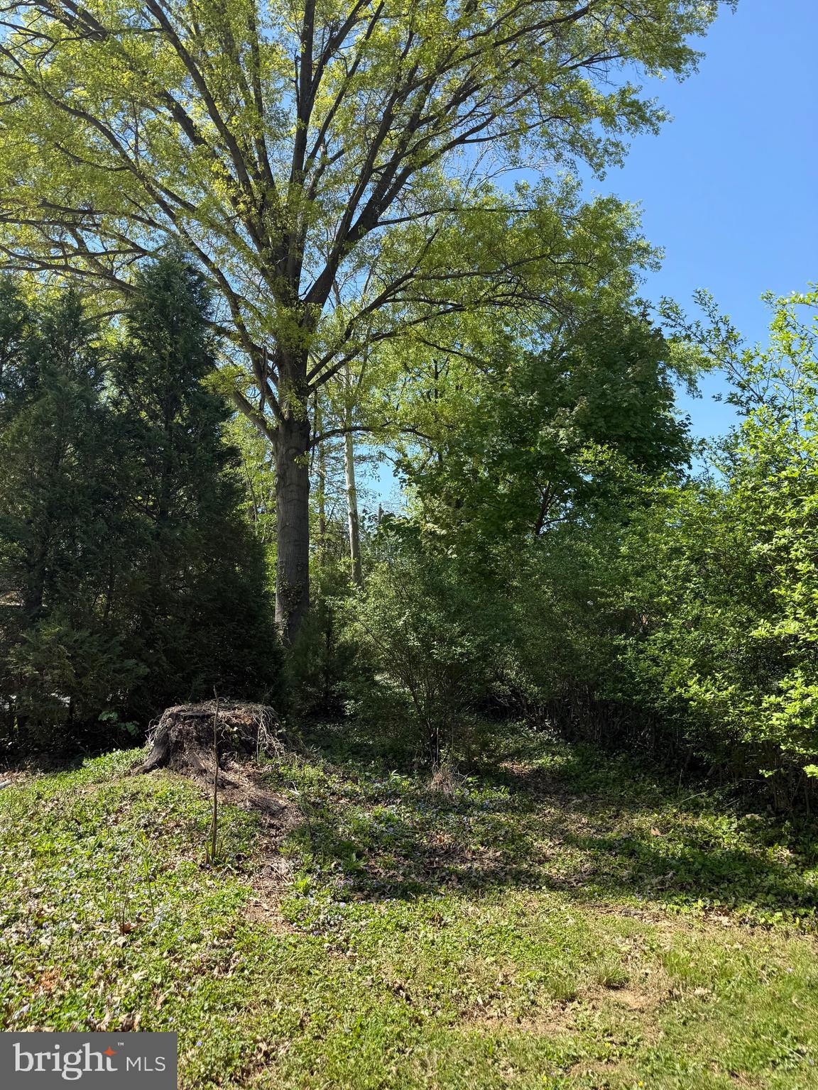 COLONIAL HILLS - Residential