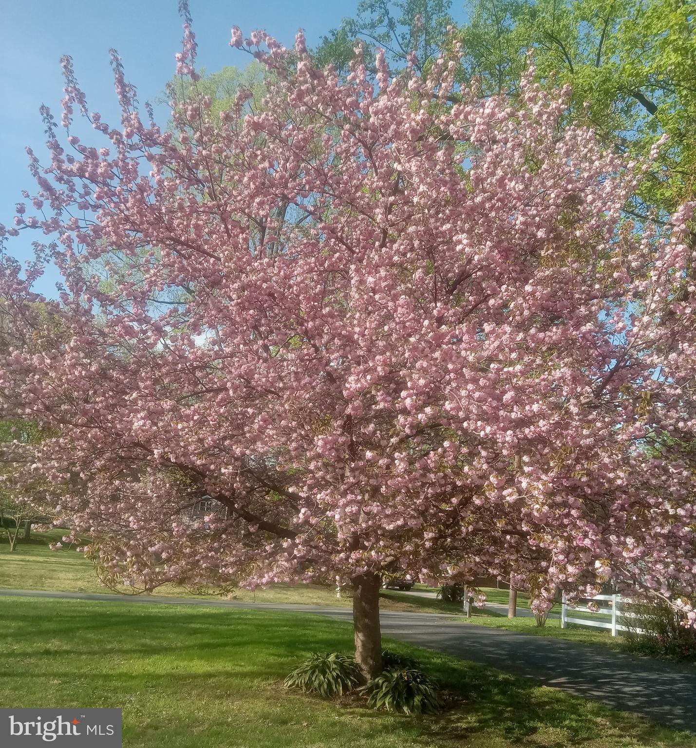 PAINT BRANCH FARMS - Residential