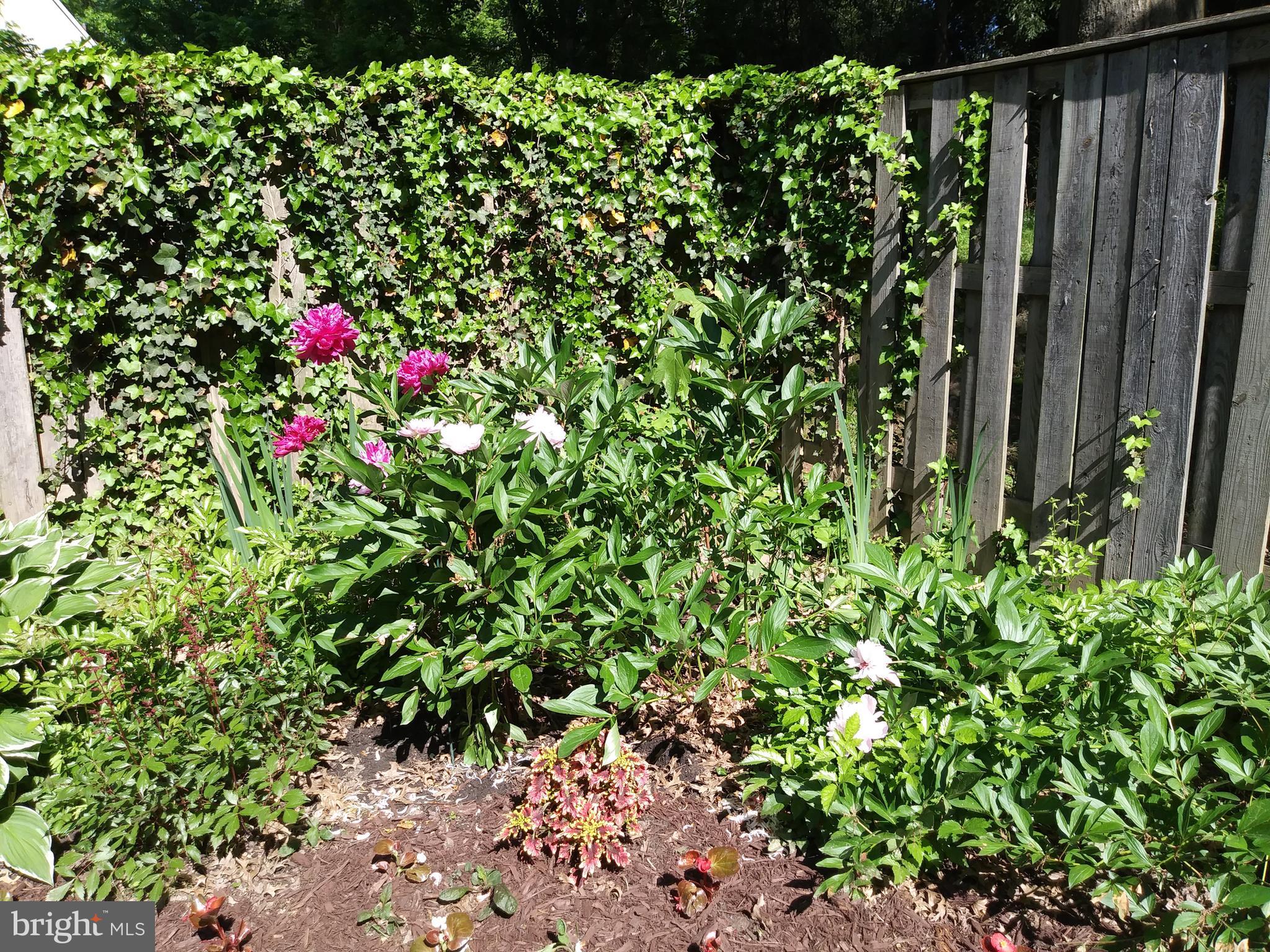 HARPERS CHOICE - Residential