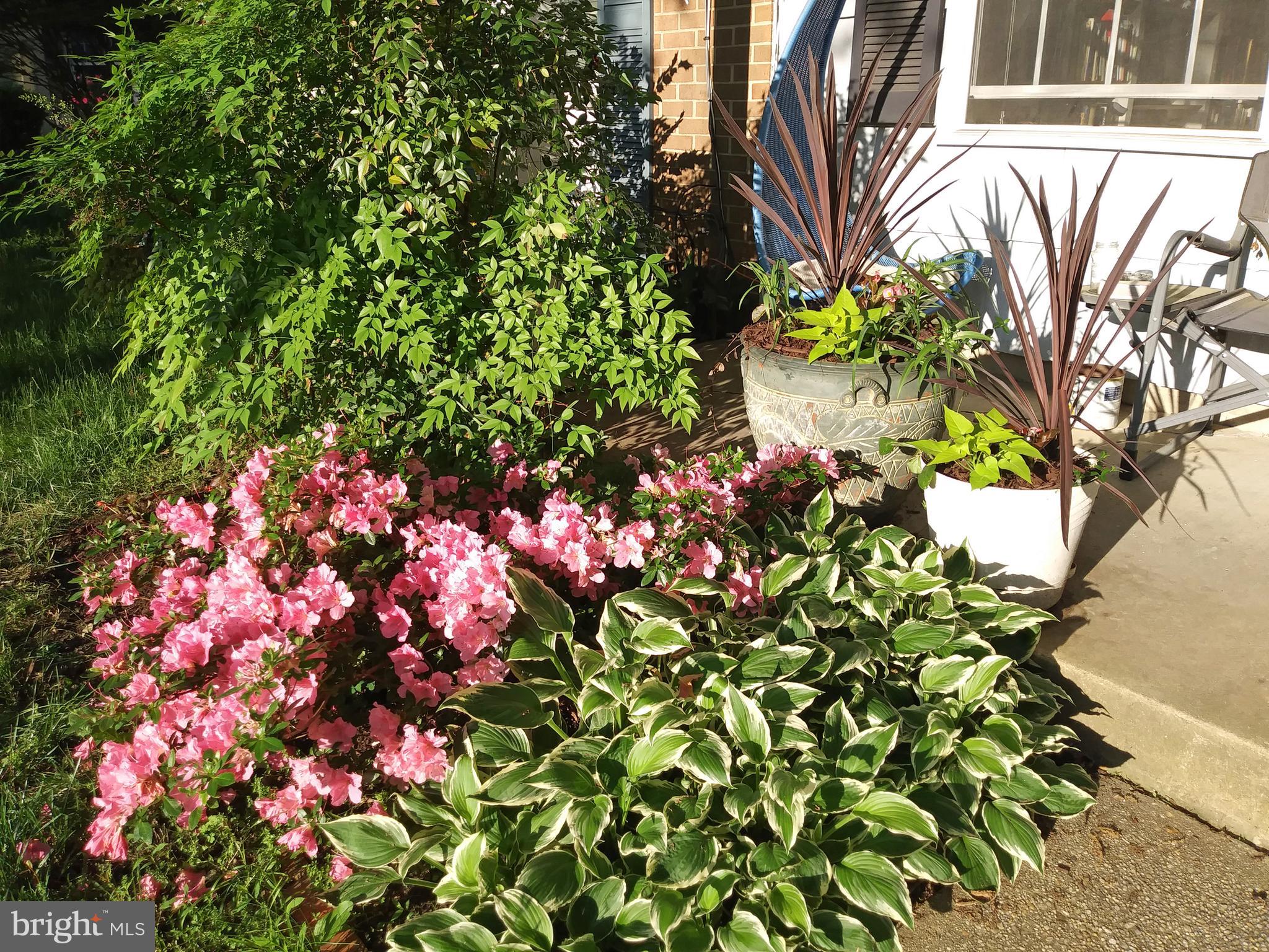 HARPERS CHOICE - Residential