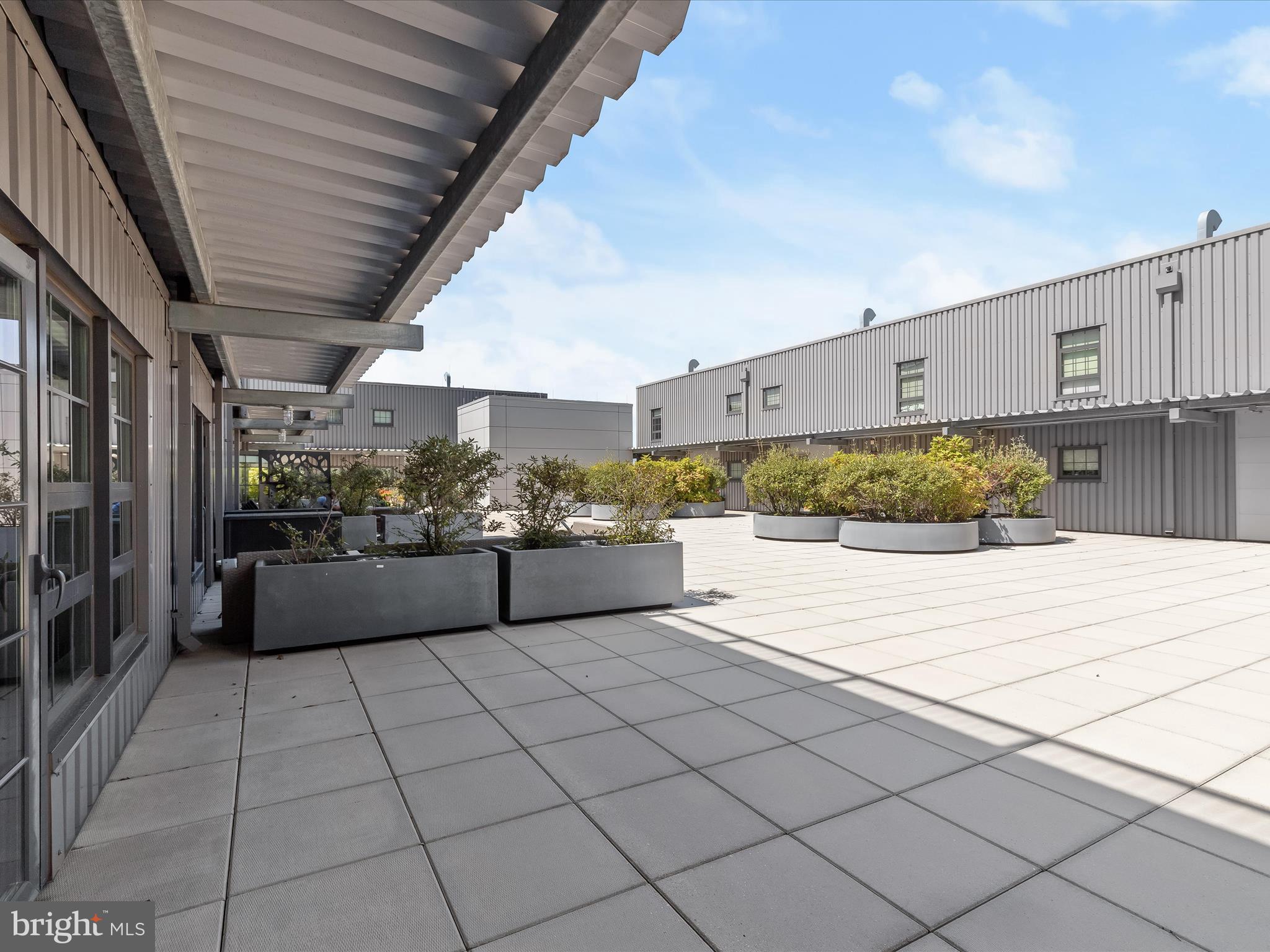 LOCUST POINT - Residential