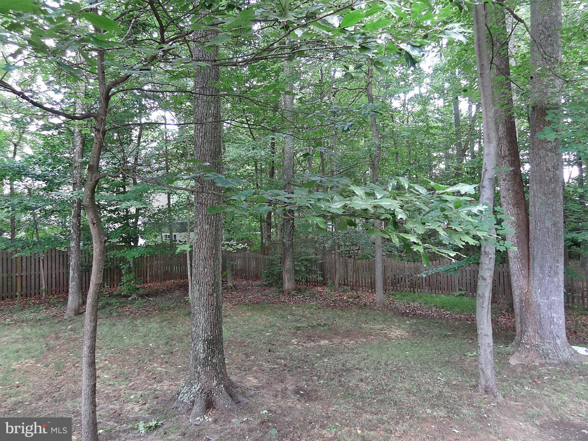 NORTH SELBY - Residential