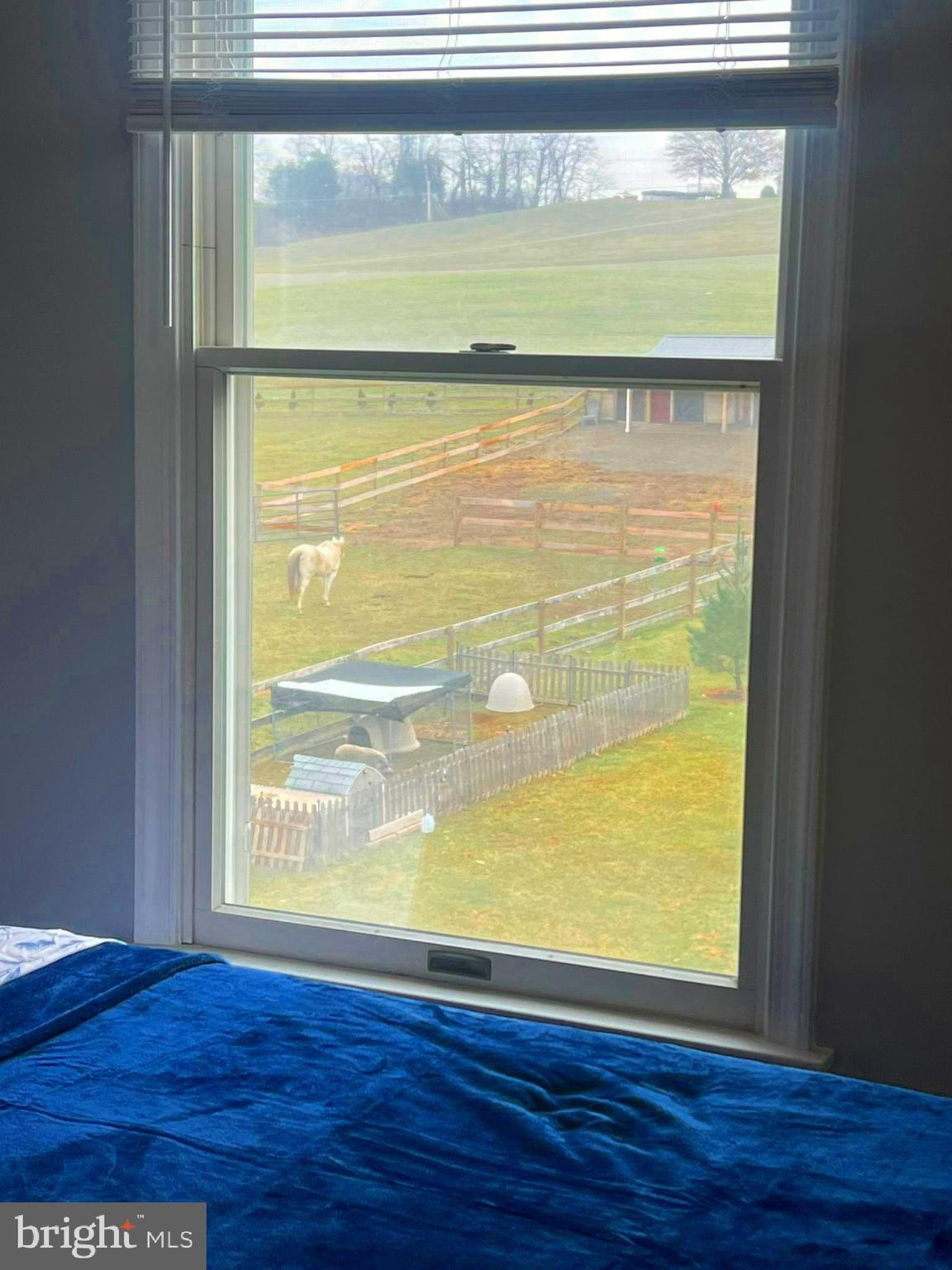 NONE AVAILABLE - Farm