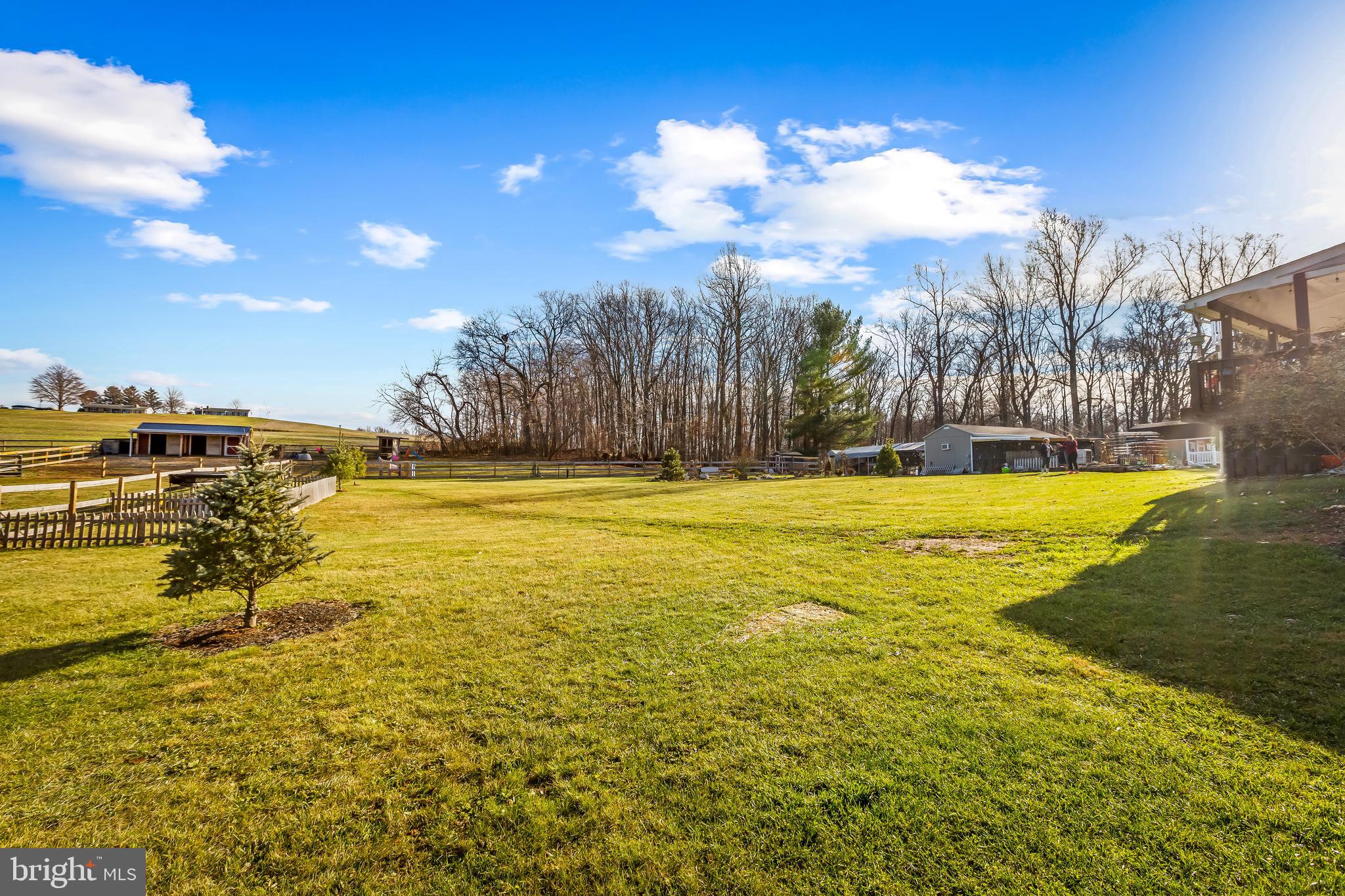 NONE AVAILABLE - Farm