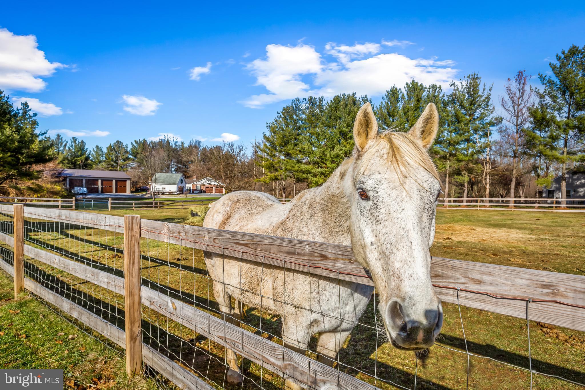 NONE AVAILABLE - Farm