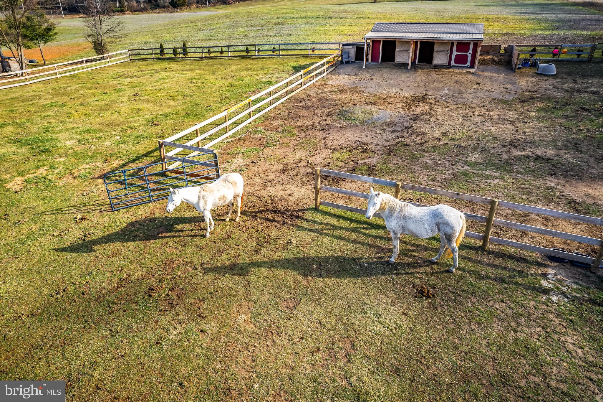 NONE AVAILABLE - Farm