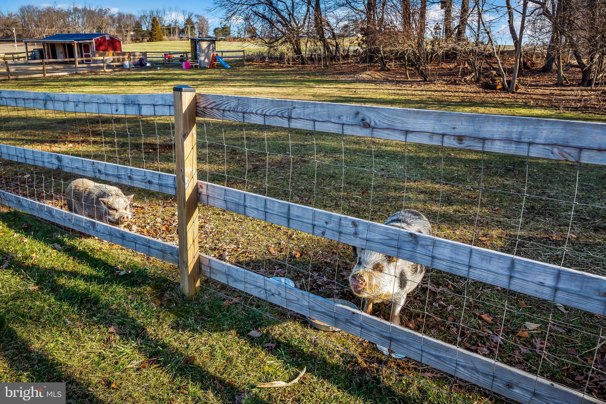 NONE AVAILABLE - Farm