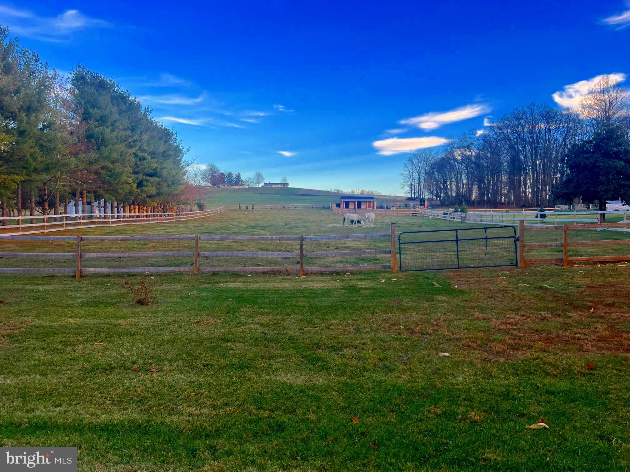 NONE AVAILABLE - Farm