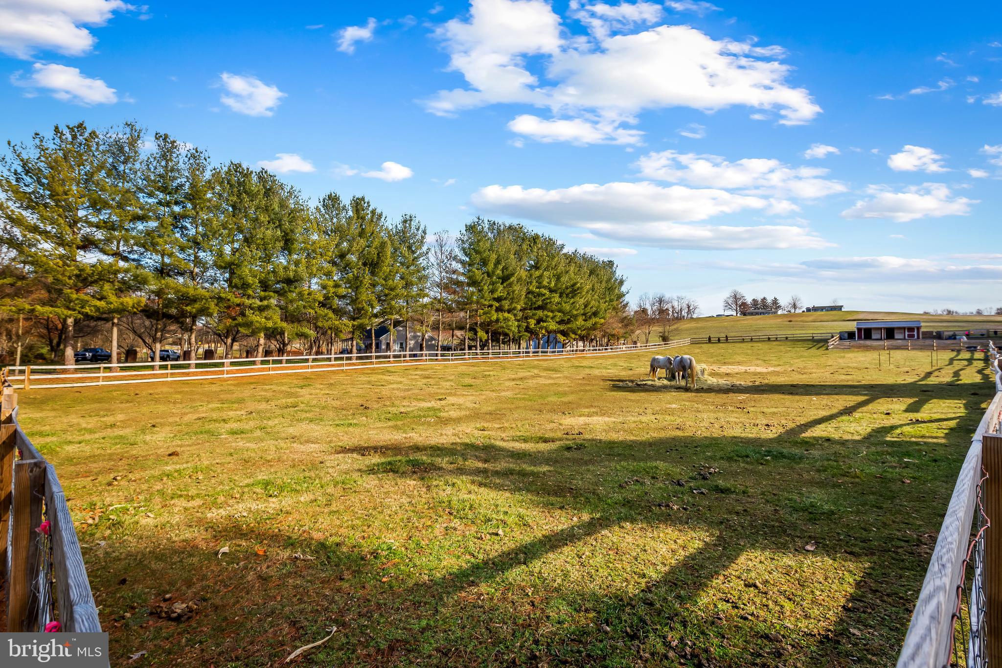 NONE AVAILABLE - Farm