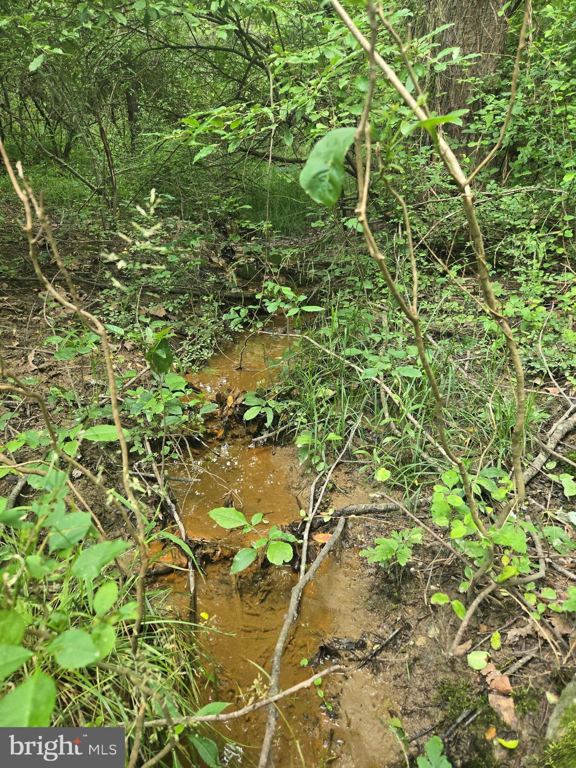 LEISURE POINT - Land