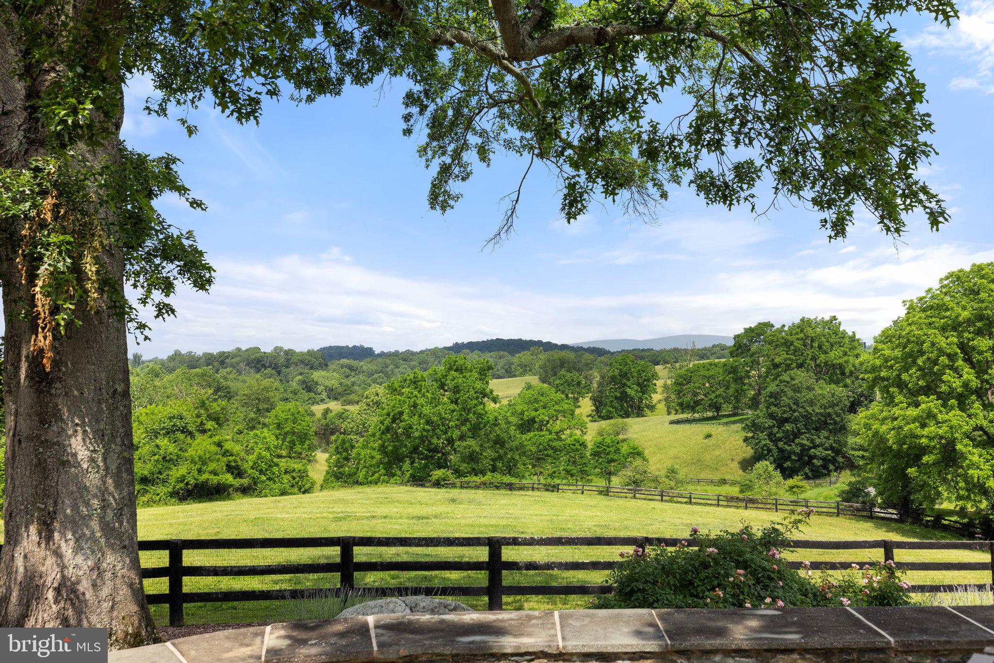 6452 OLD GOOSE CREEK ROAD