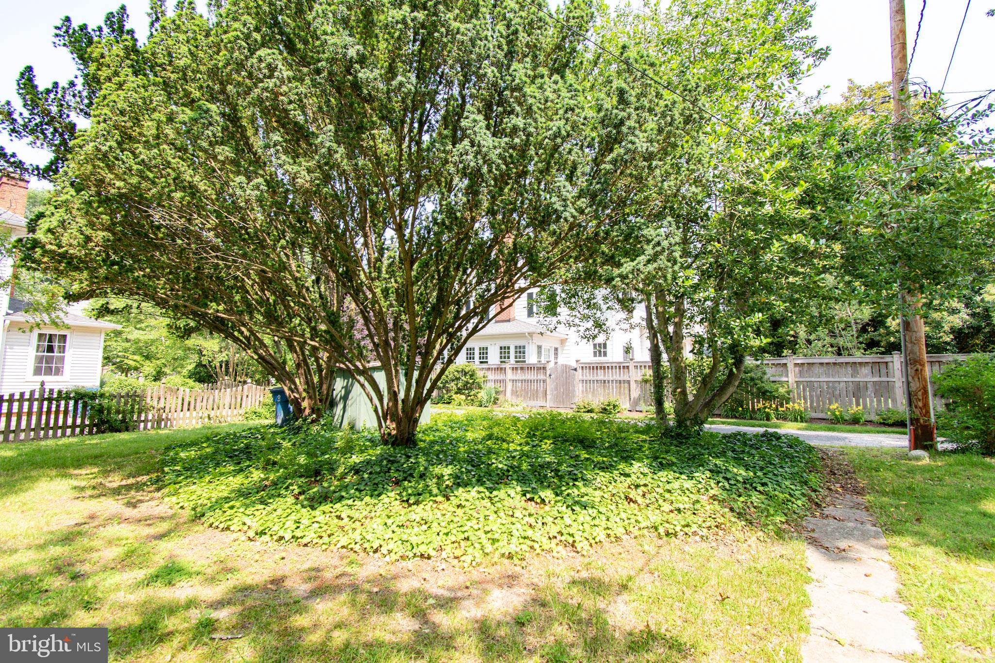 203 E EARLE AVENUE