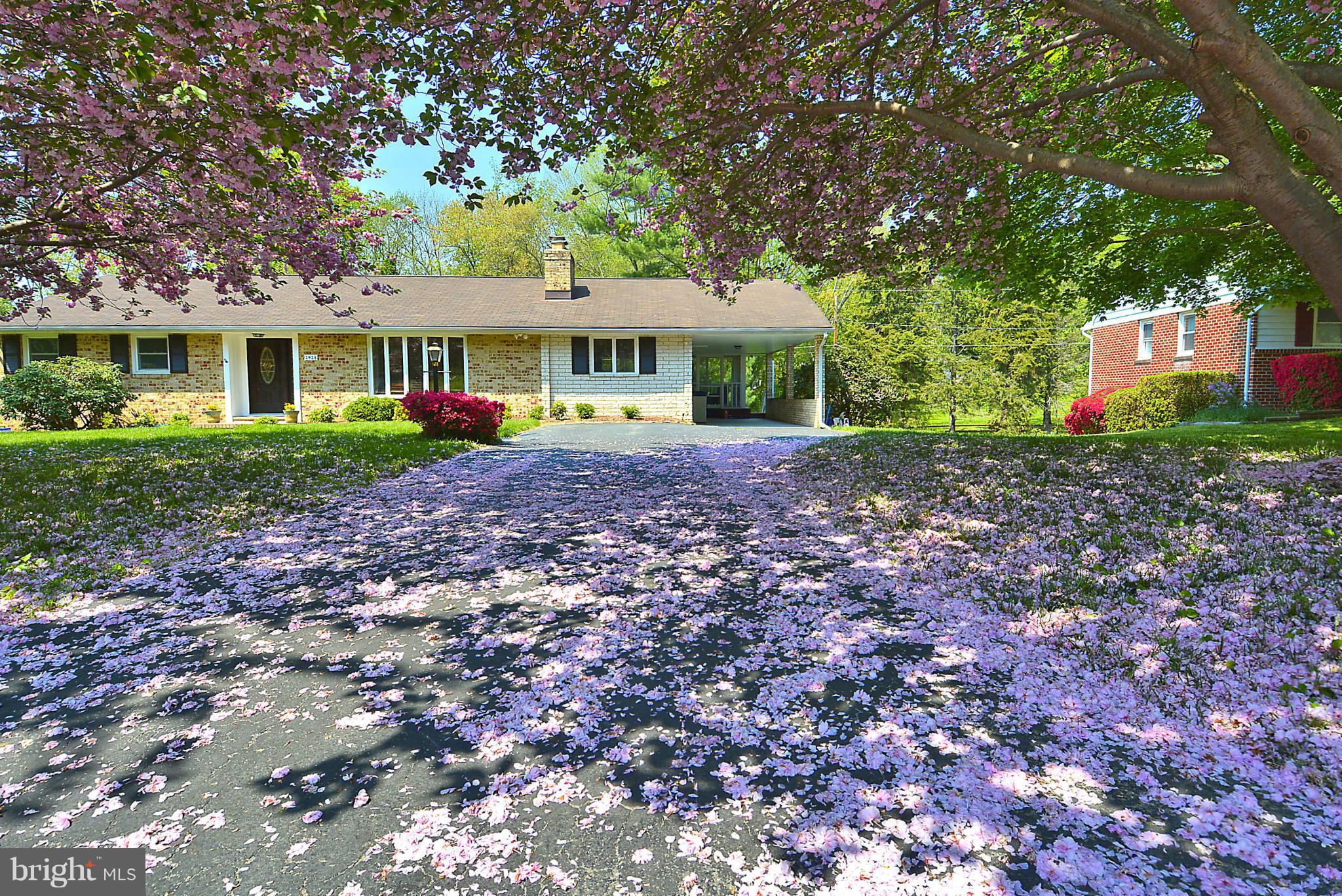 Bethgate's hidden gem. Nicely appointed comfortable living. Granite countertops, stainless steel appl, main level family room w/built-in bar, cabinets, beamed ceiling & 2 fireplace. Renovated bathrooms, new doors & appliances. Huge renovated lower level w/ BR, BA/In-Law quarters & large rec area. Enjoy the patio, newly renovated screened porch & carport. Truly a move in home. Sought after schools.