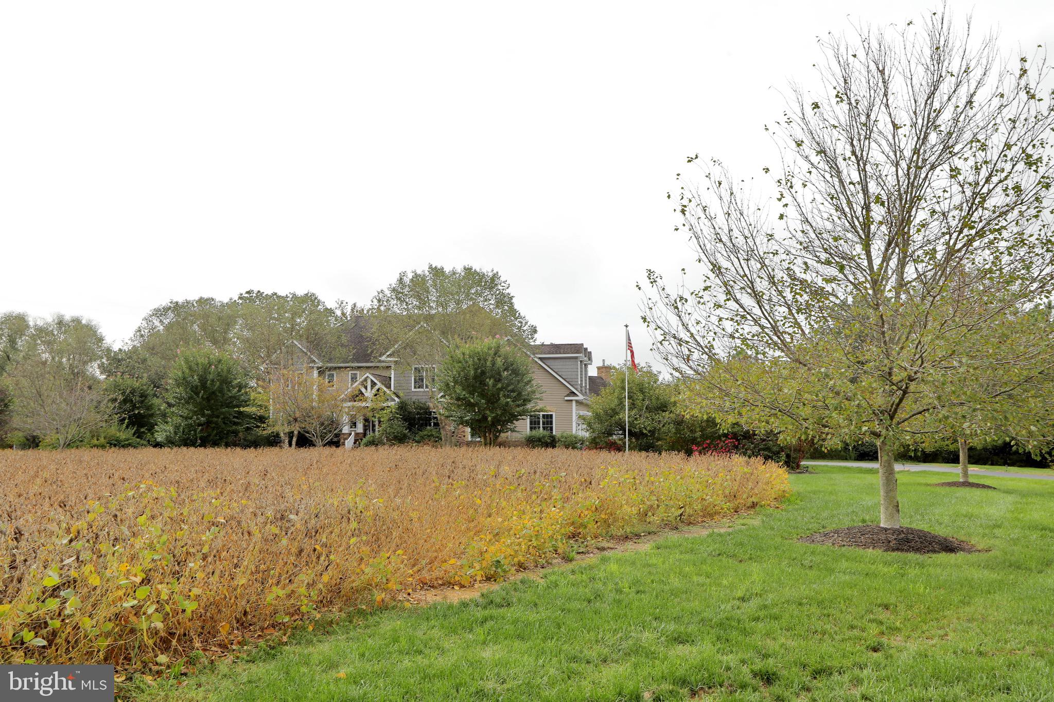 BARTON HALL - Residential