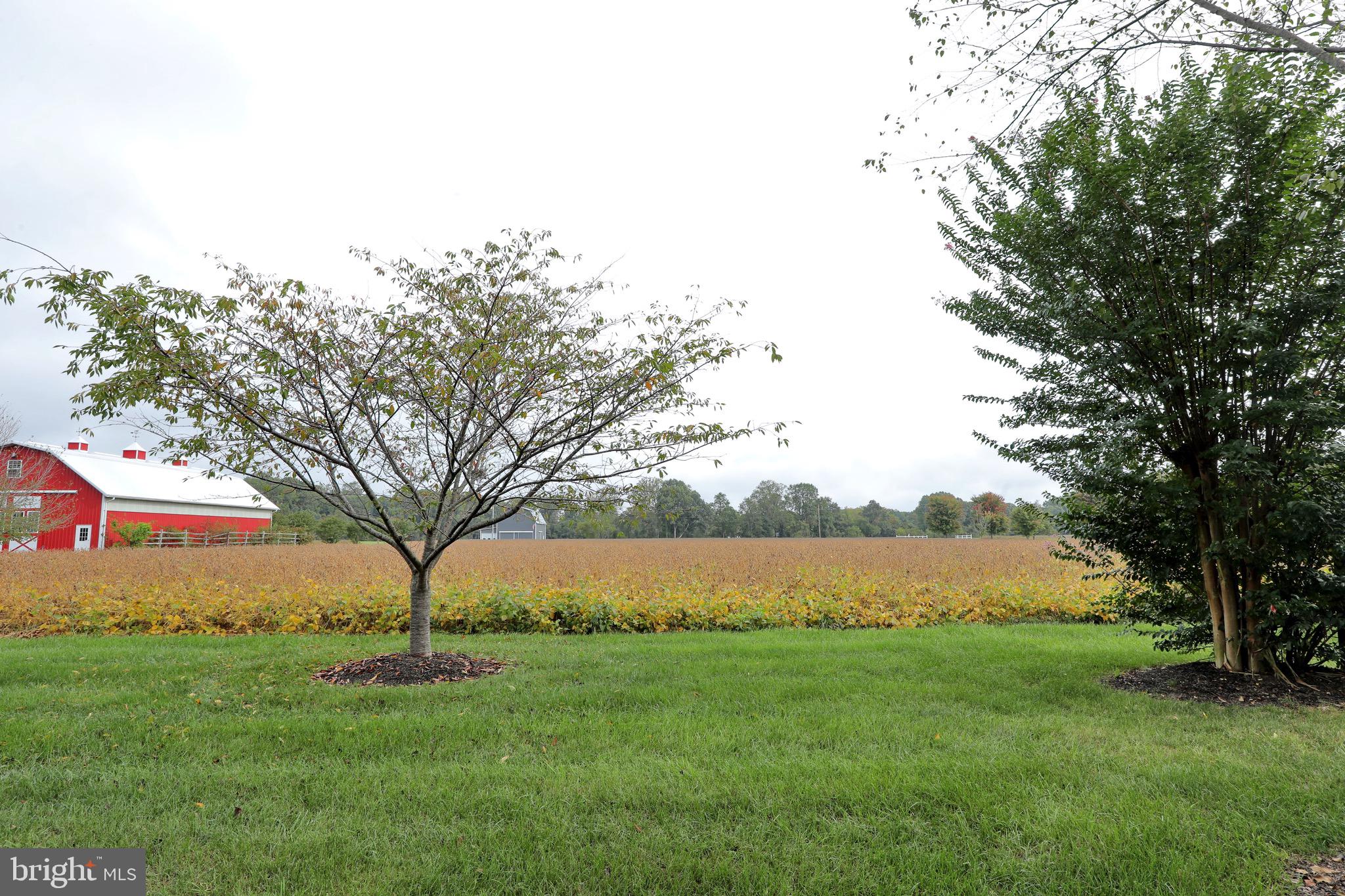BARTON HALL - Residential