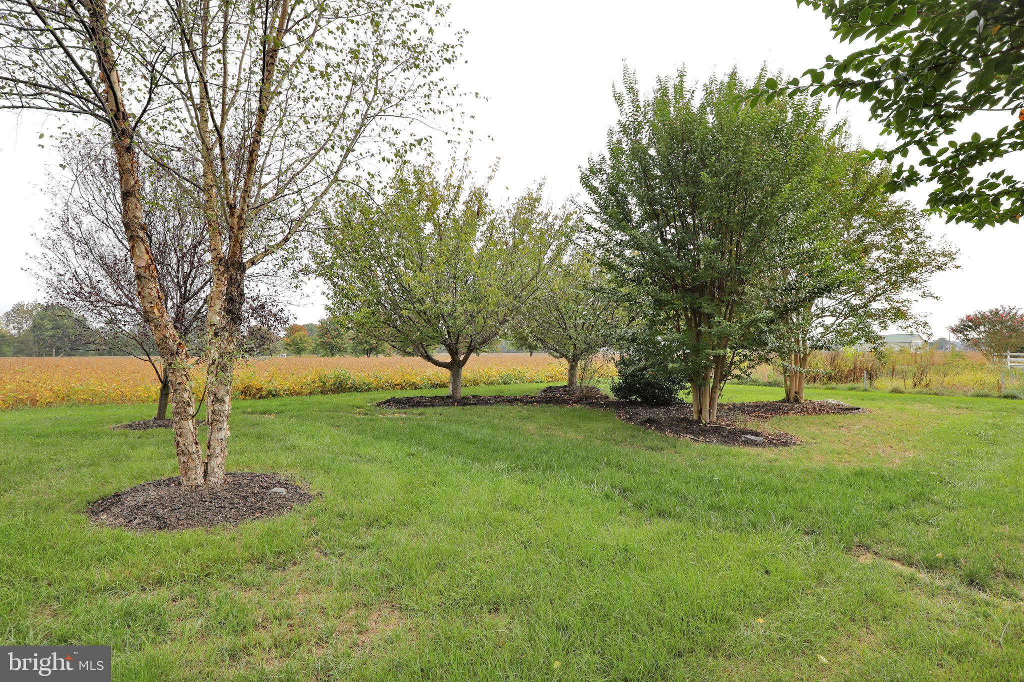 BARTON HALL - Residential