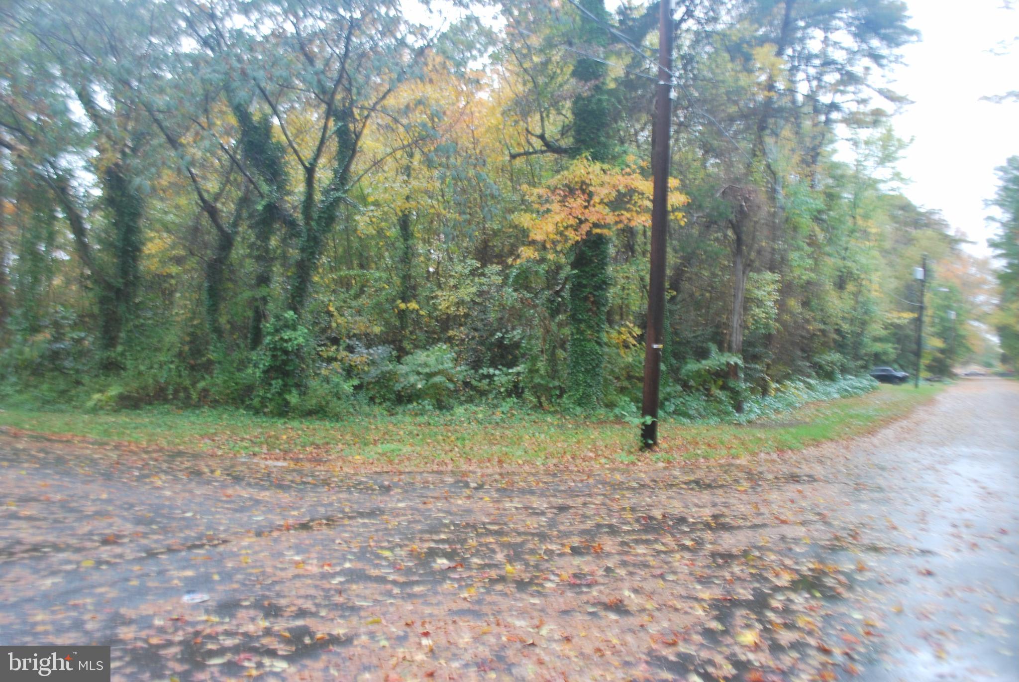 LAUREL LAKE - Residential