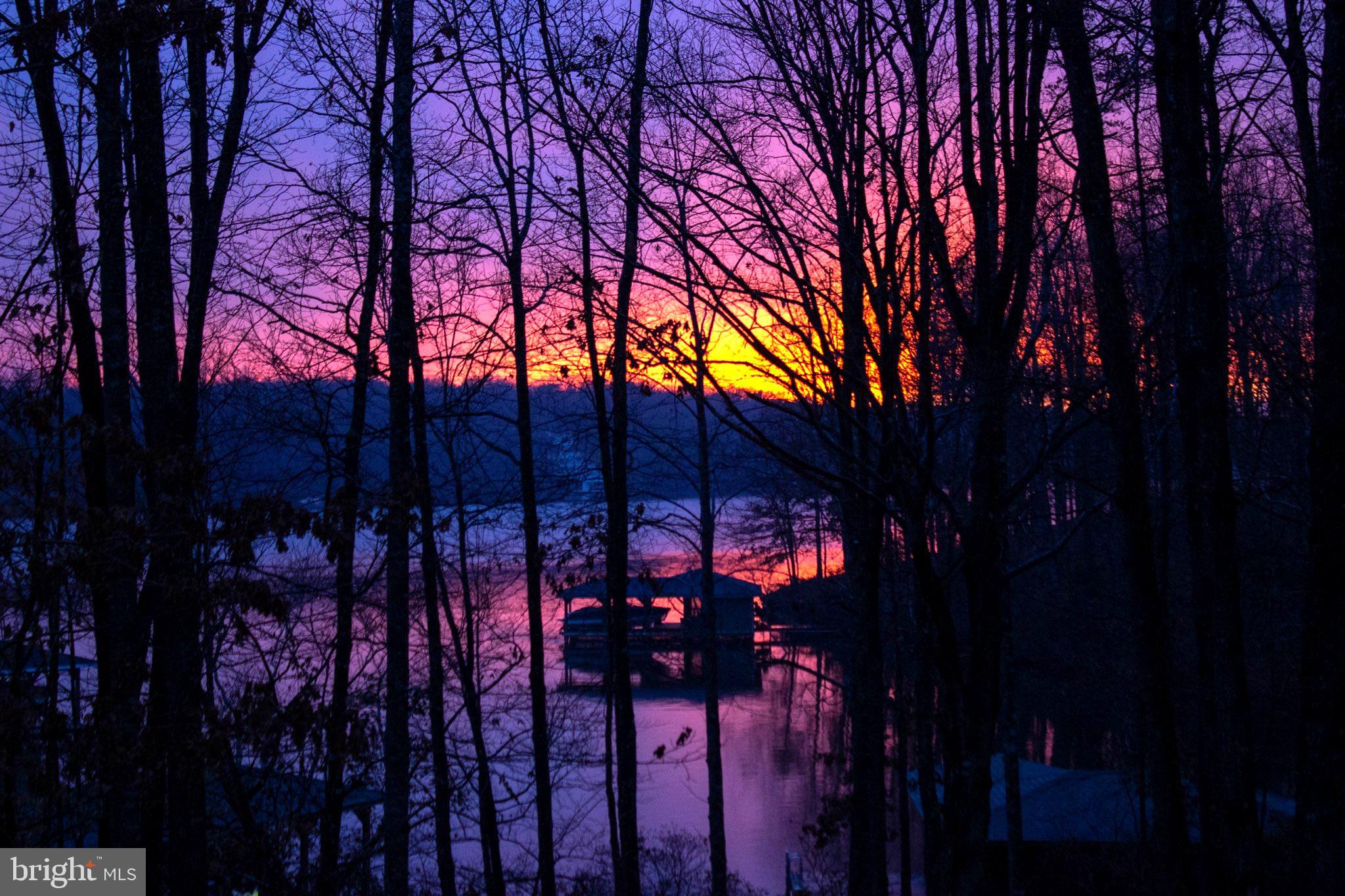 13101 BLACK WALNUT LANE