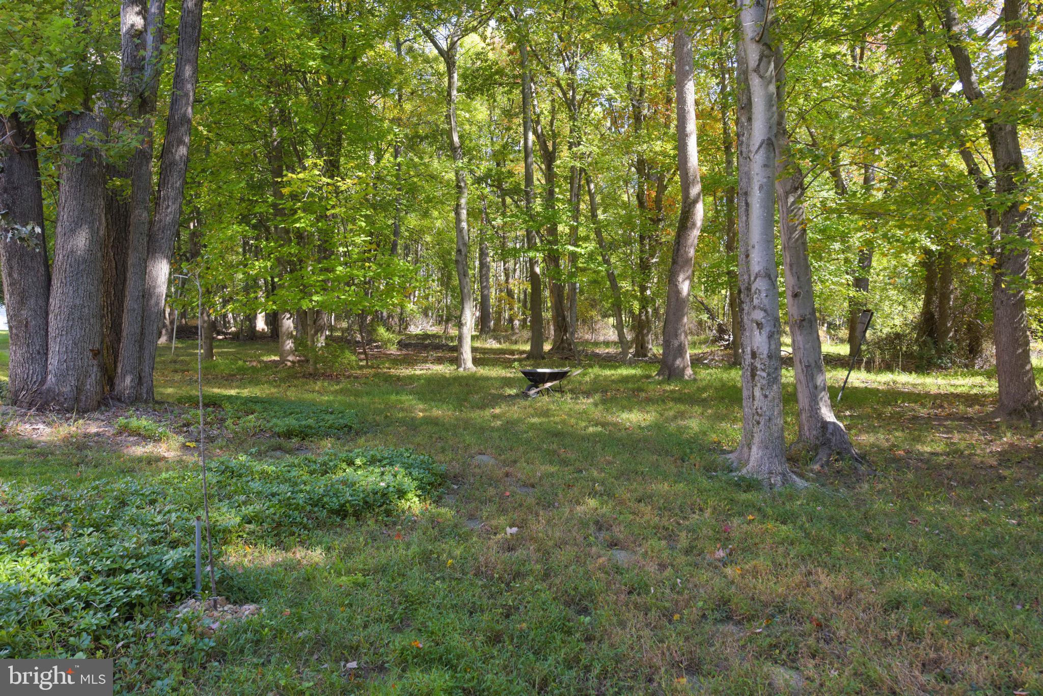 NORTH SHERWOOD FOREST - Residential Lease