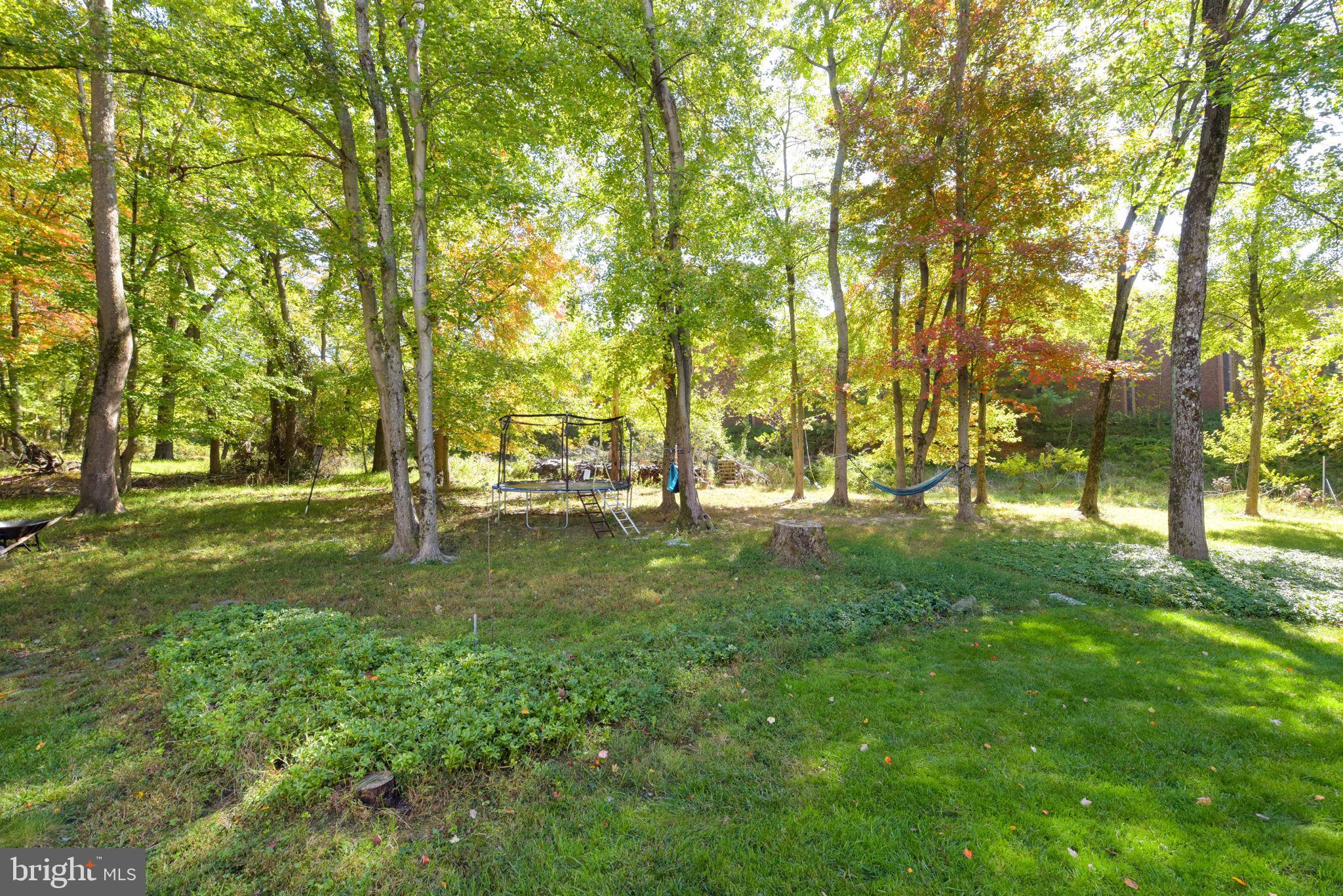 NORTH SHERWOOD FOREST - Residential Lease