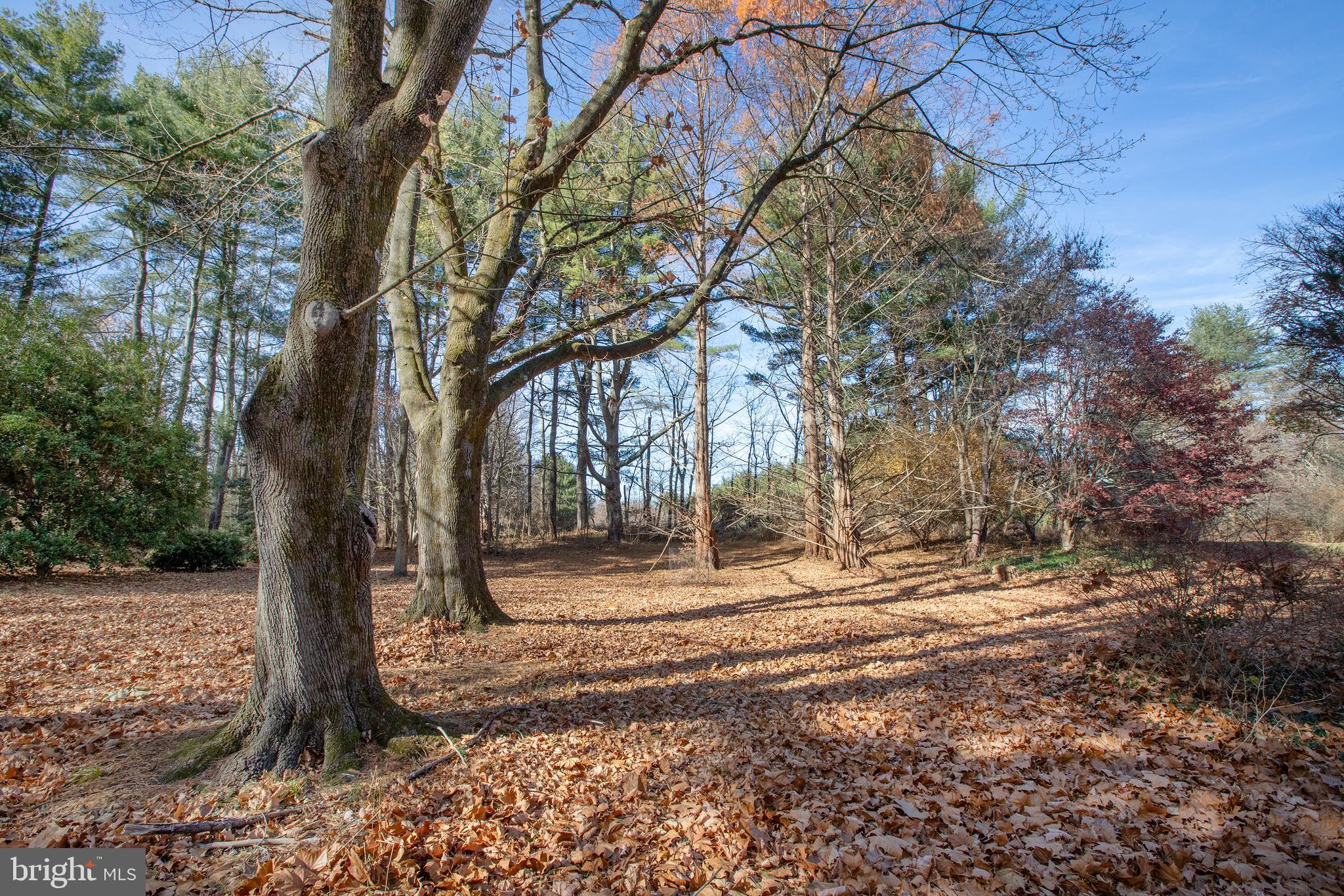 BOWMANS TOWER FARM - Residential