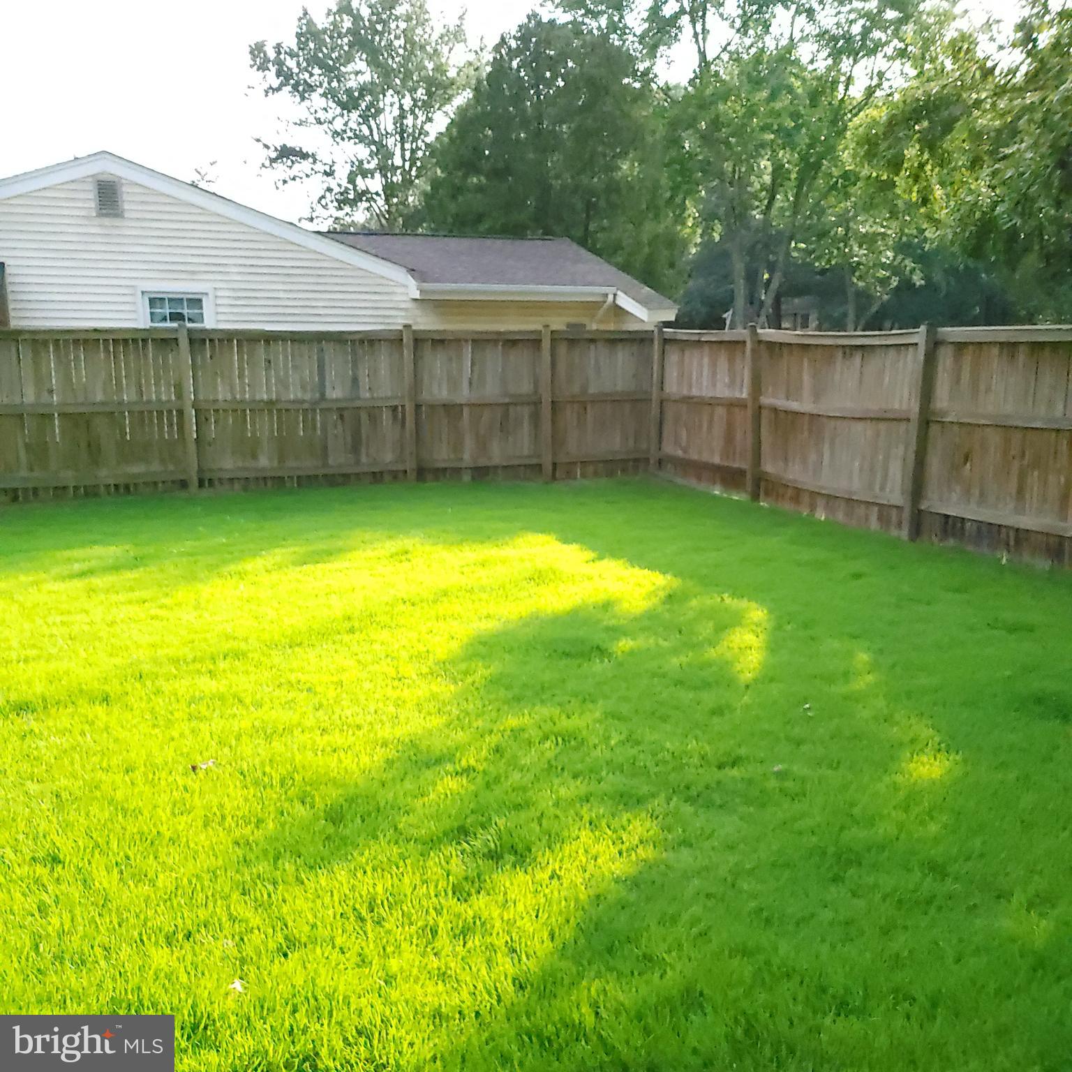 PINEFIELD - Residential