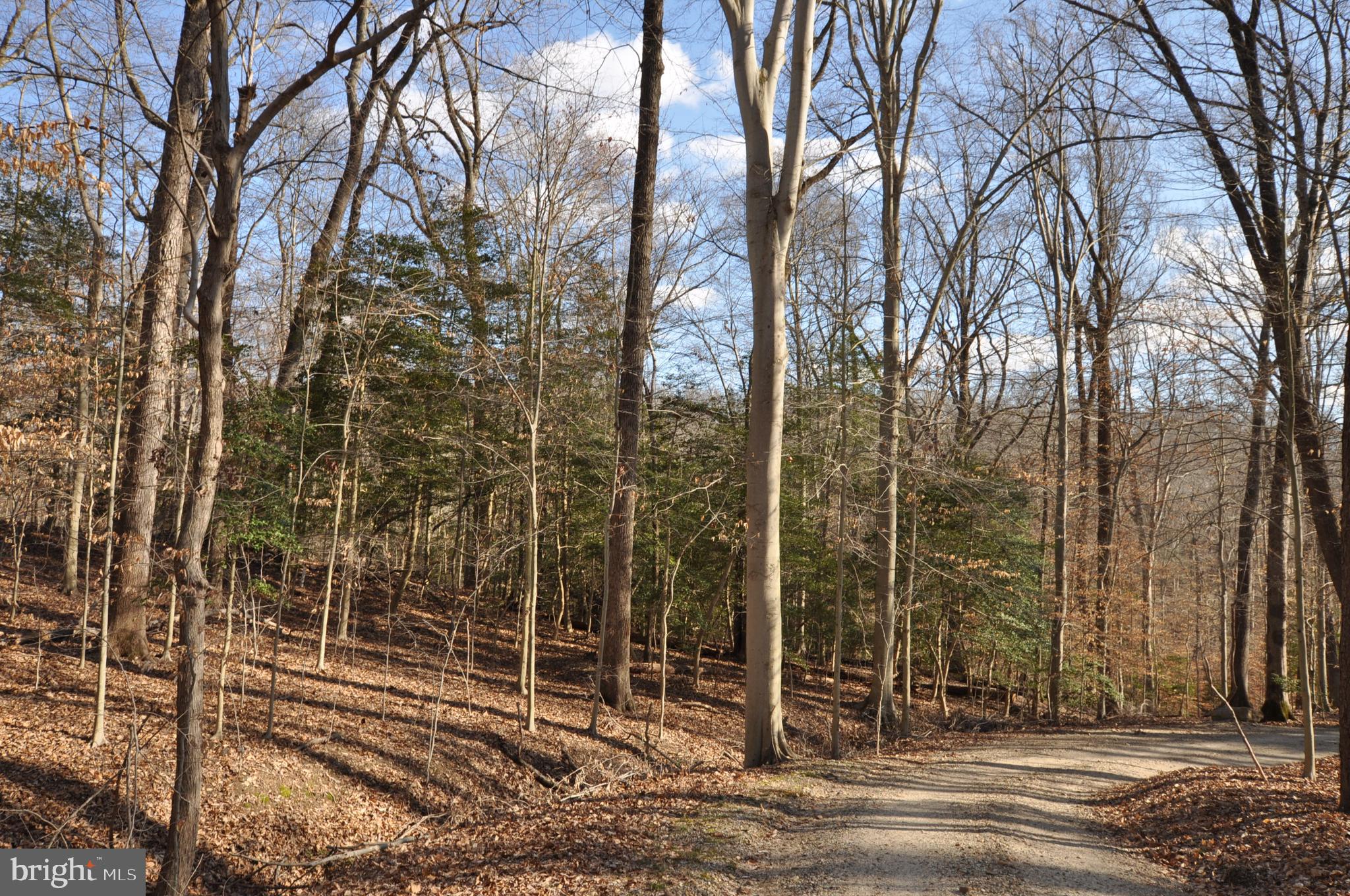 MOYAONE RESERVE - Land