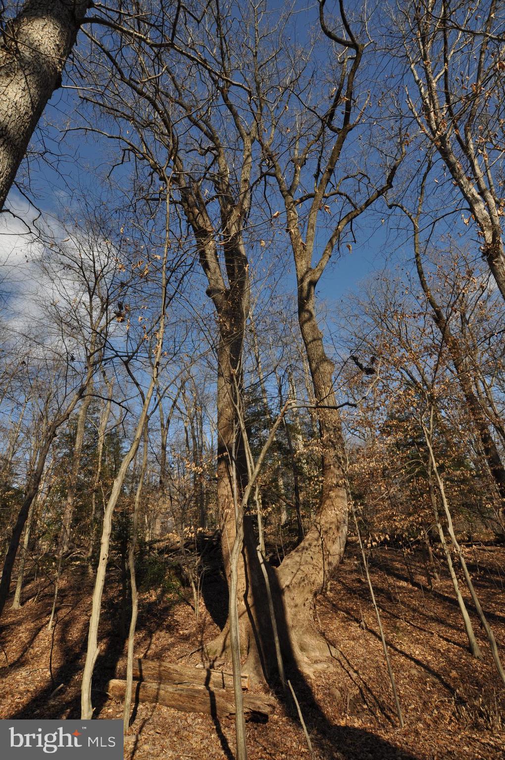 MOYAONE RESERVE - Land