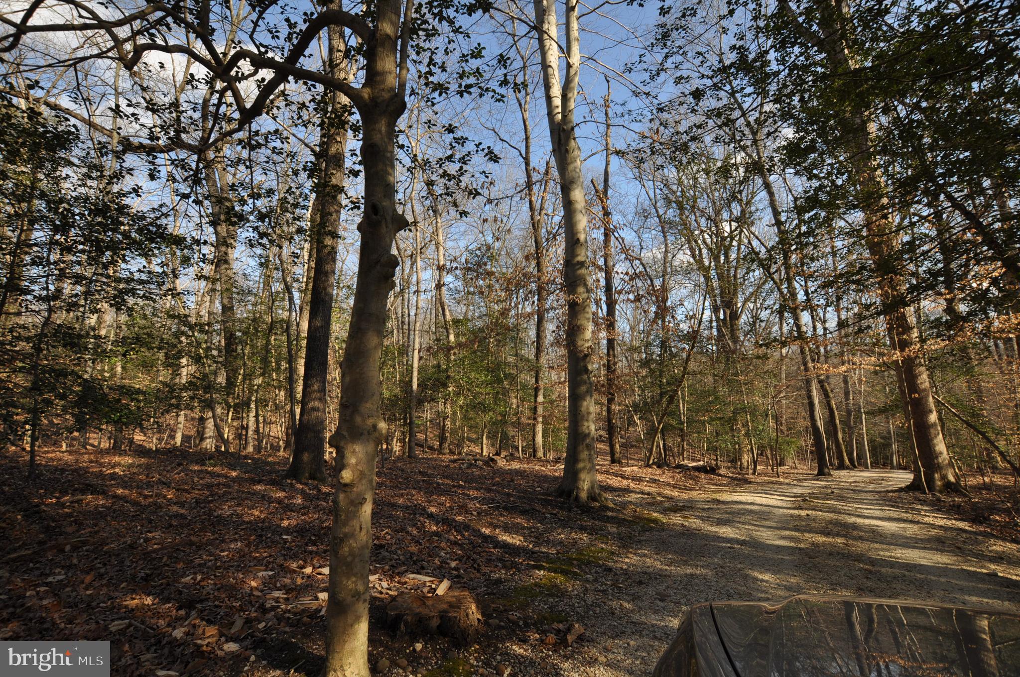 MOYAONE RESERVE - Land