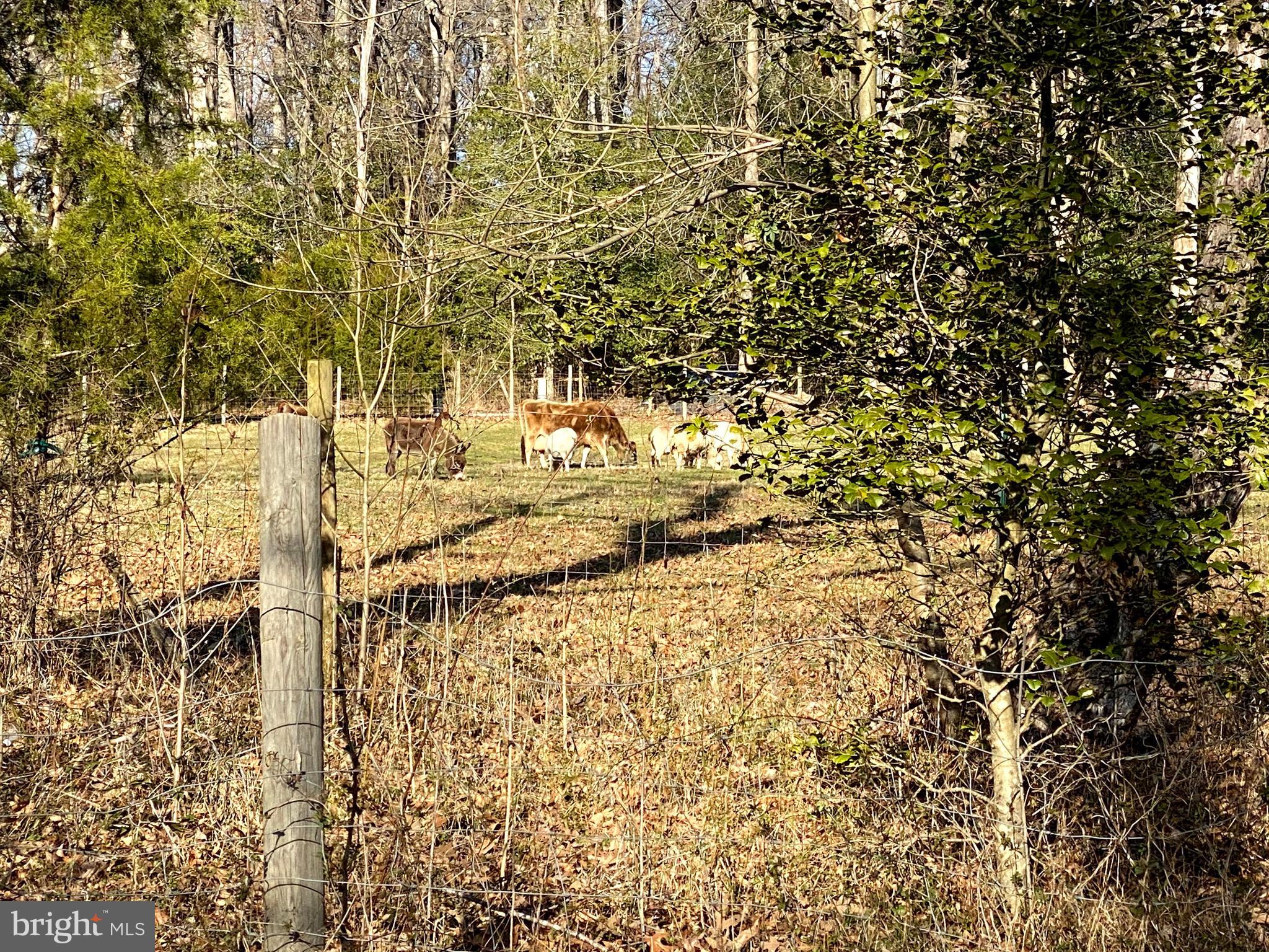 MOYAONE RESERVE - Land