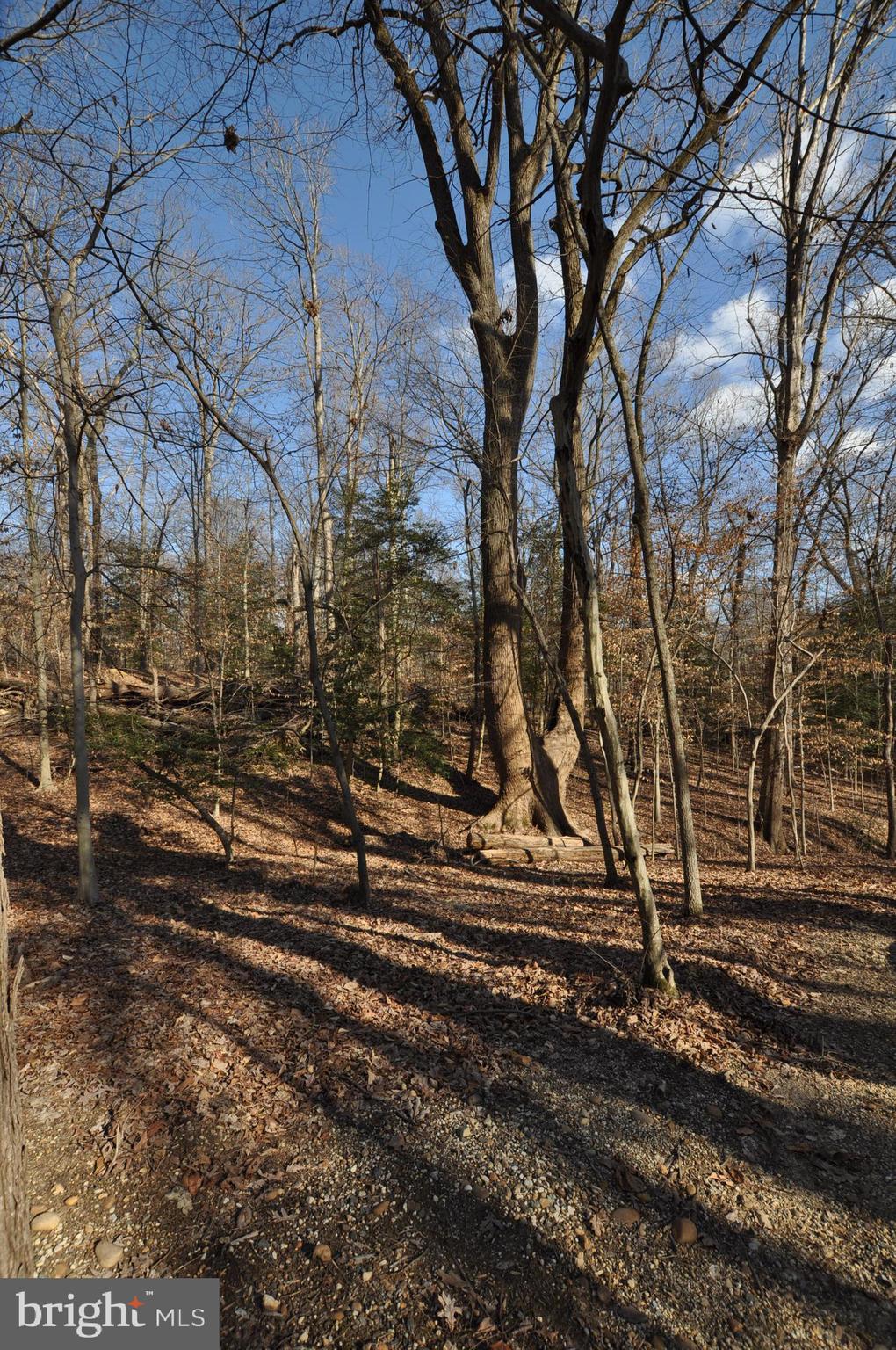 MOYAONE RESERVE - Land