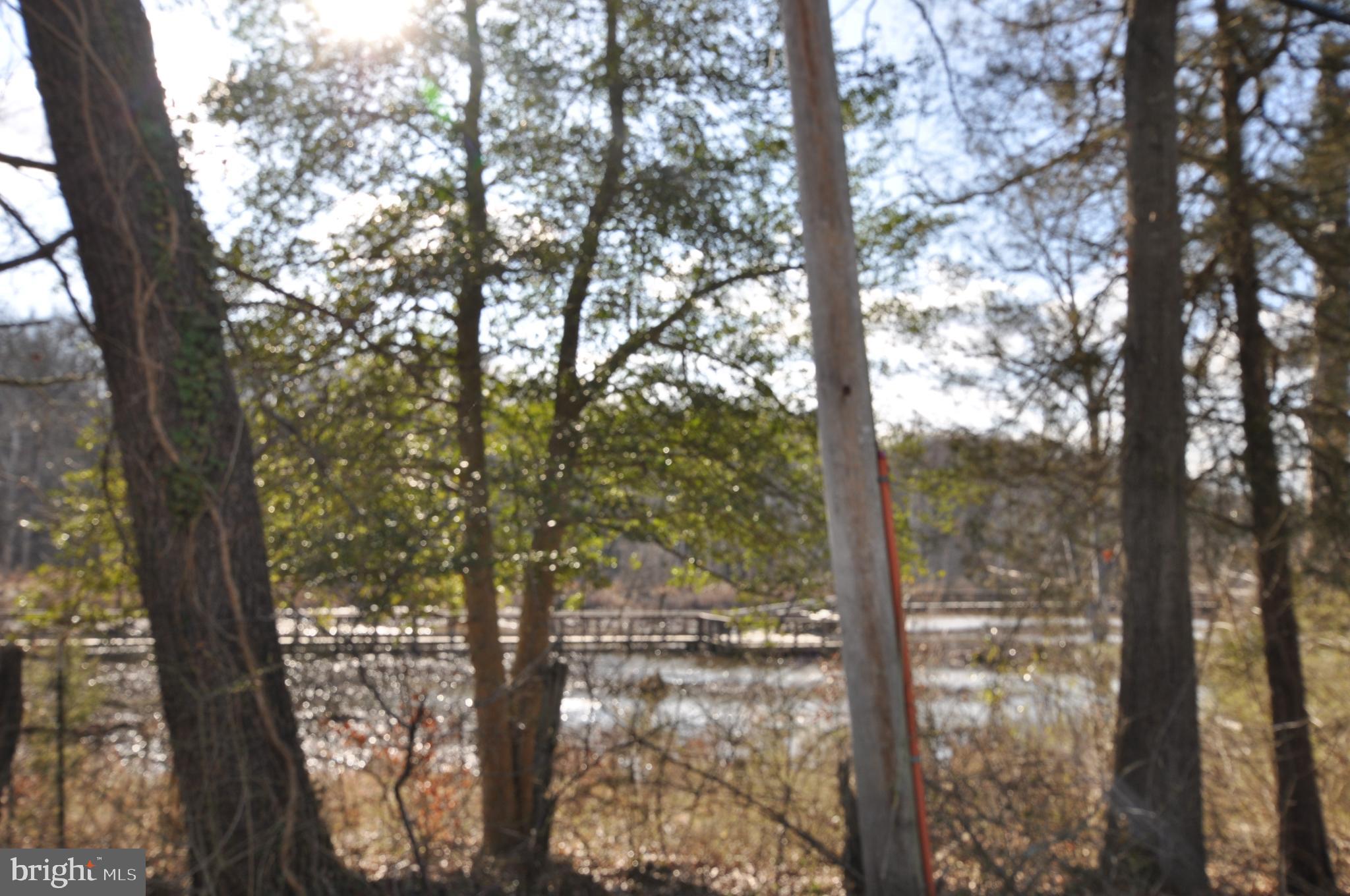 MOYAONE RESERVE - Land