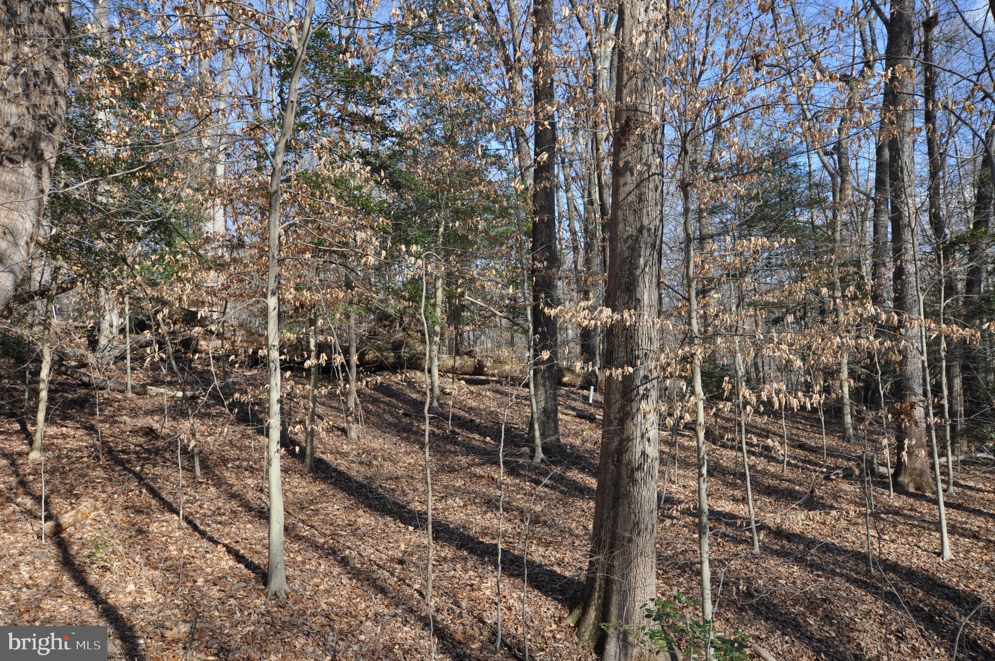 MOYAONE RESERVE - Land