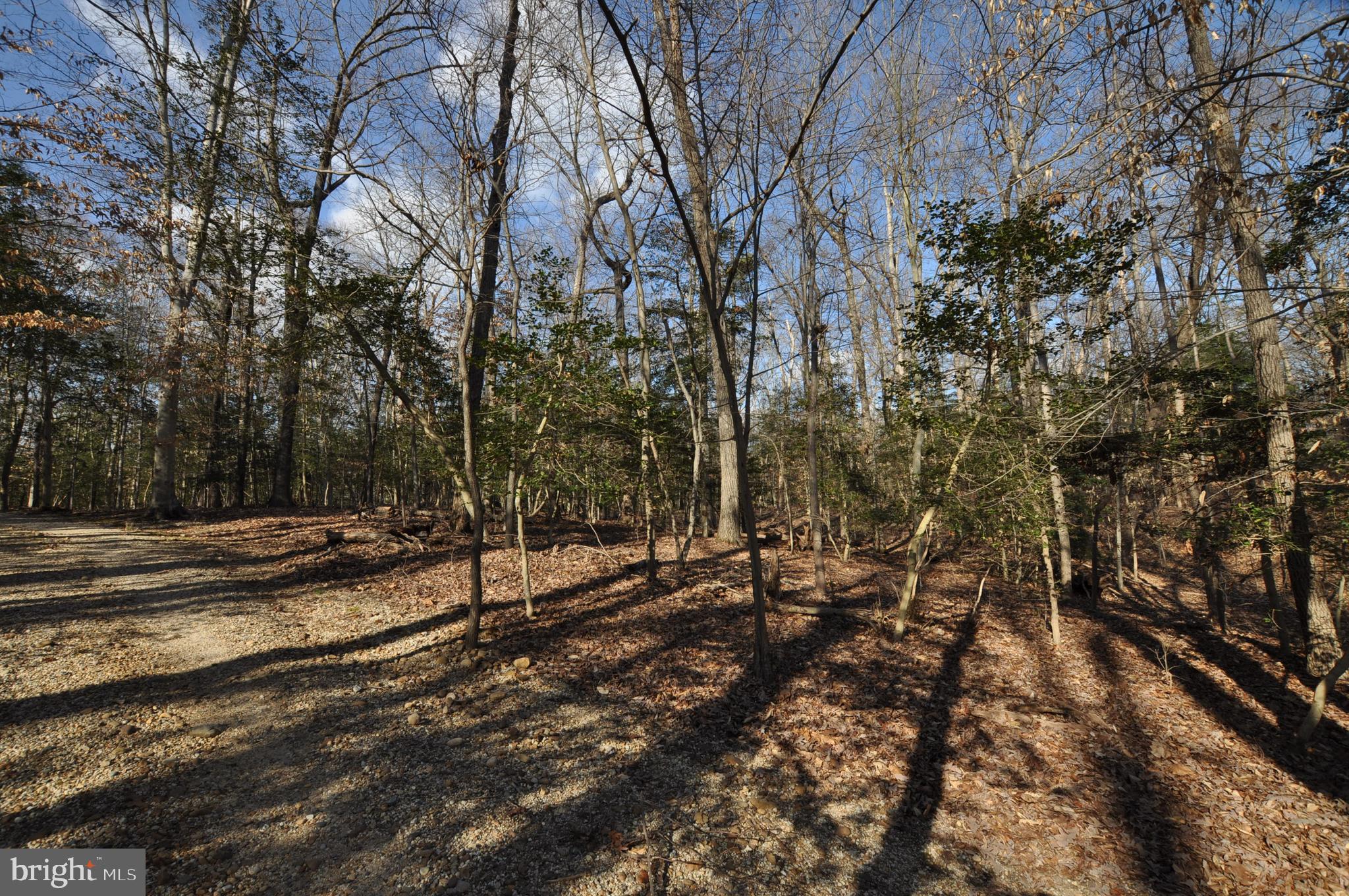 MOYAONE RESERVE - Land