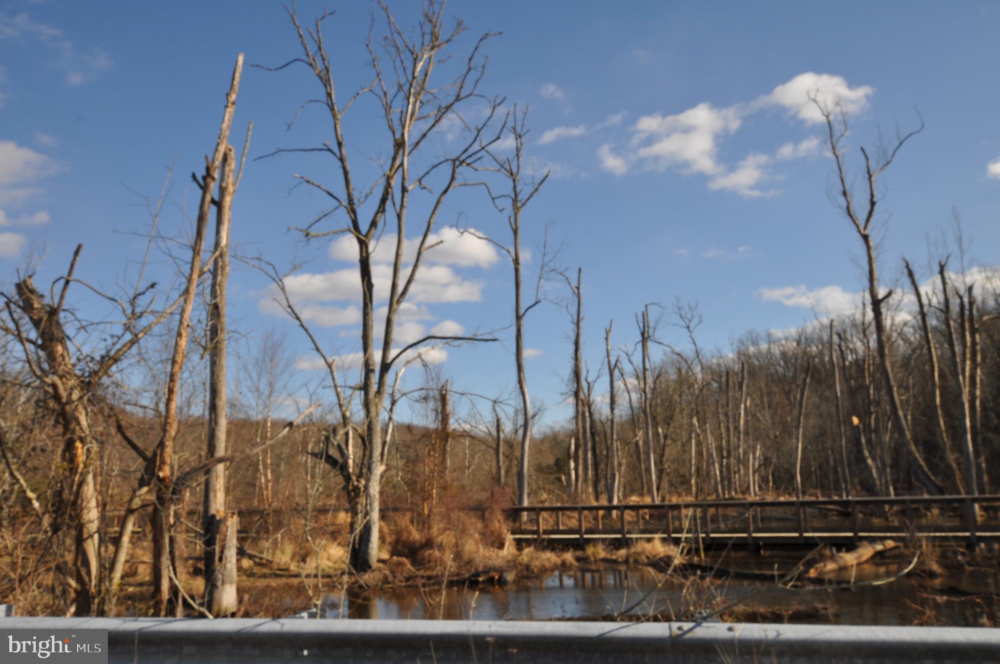 MOYAONE RESERVE - Land