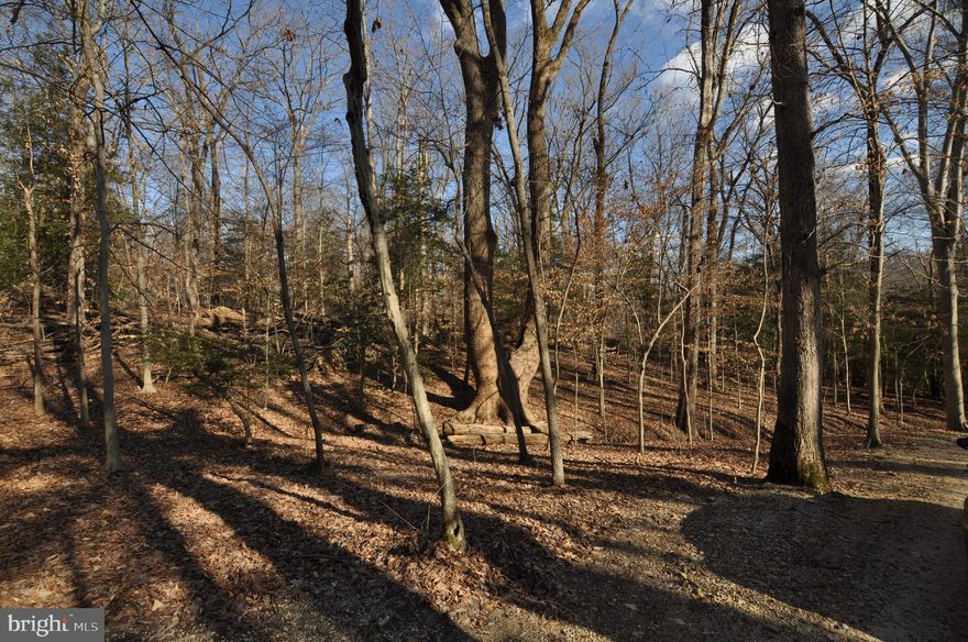 Over 5 acres beautiful wooded building lot   perced and ready to go in the Moyaone Reserve. Build your dream home here and enjoy all the beautiful amenities that nature has to offer and you are near the National Colonial Farm and The Hard Bargain Farm, as well. You are right across the Potomac from George Washington's Mount Vernon and just minutes to The National Harbor. Easy commute to Washington DC, Joint Base Andrews and Northern VA.   Community amenities include a swimming pool & community ctr, playground, community garden, nature trails, boardwalk through wetlands & summer concerts & outdoor theater. Come take a look and imagine the possibilities!!  A great place to live!