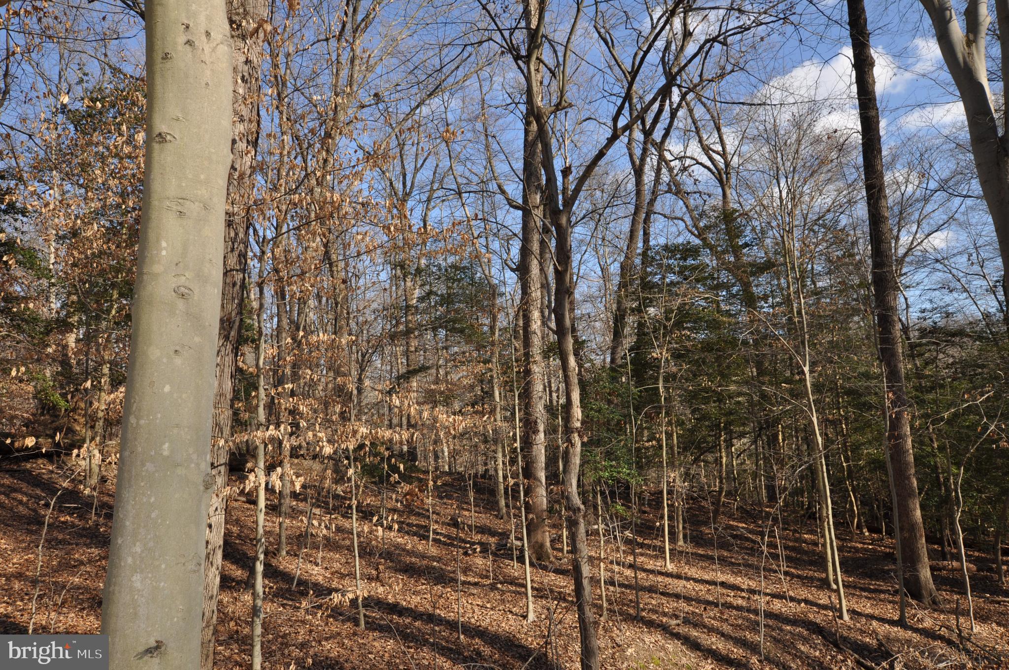 MOYAONE RESERVE - Land