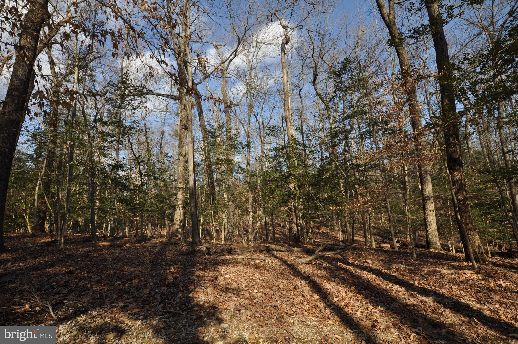 MOYAONE RESERVE - Land